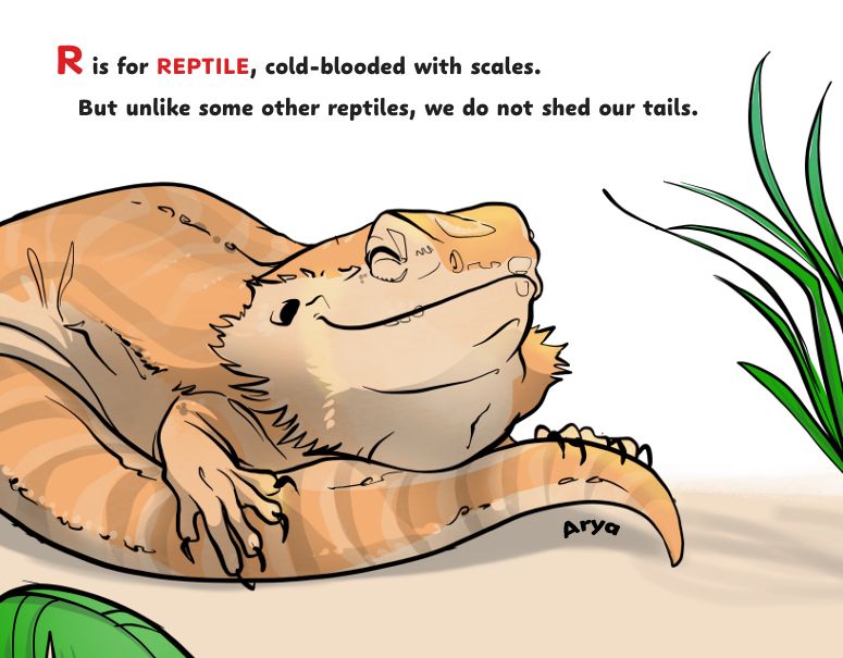 B Is for BEARDIE!: Bearded Dragons A to Z