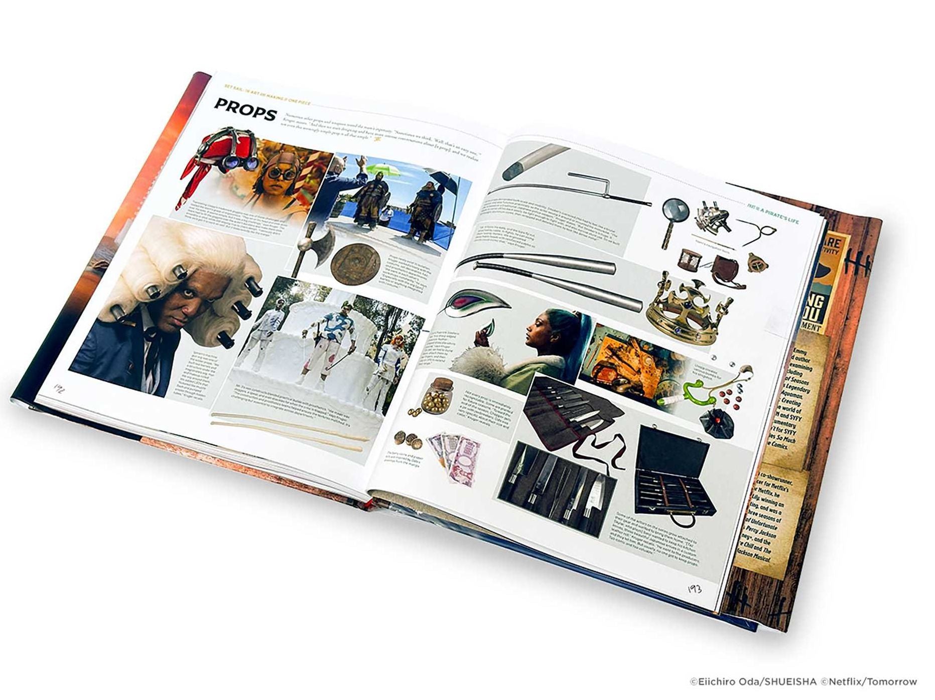 Set Sail: The Art and Making of One Piece