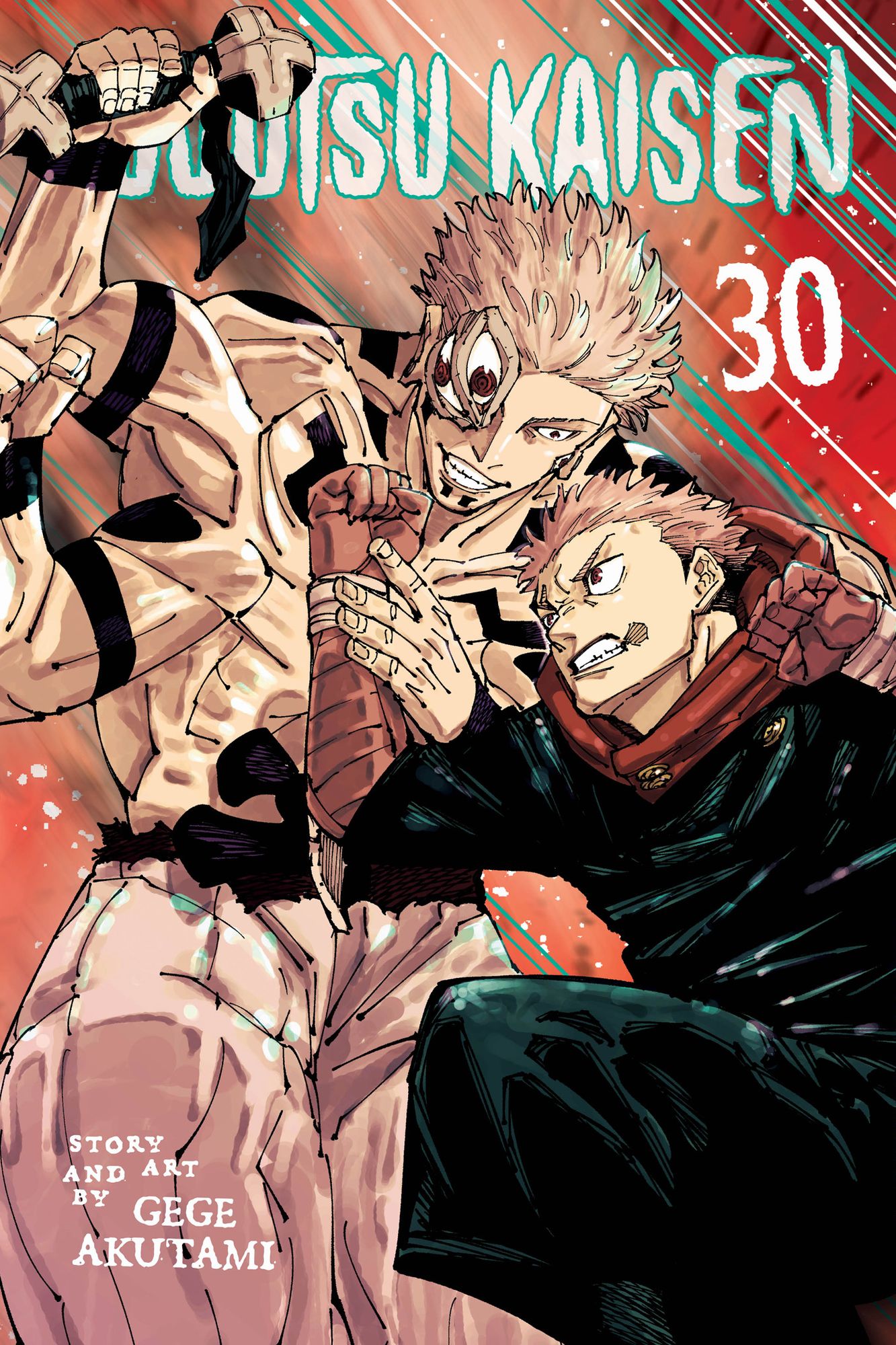 Jujutsu Kaisen, Vol. 30 (B&N Exclusive Edition)