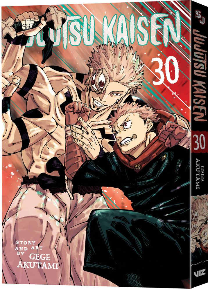 Jujutsu Kaisen, Vol. 30 (B&N Exclusive Edition)