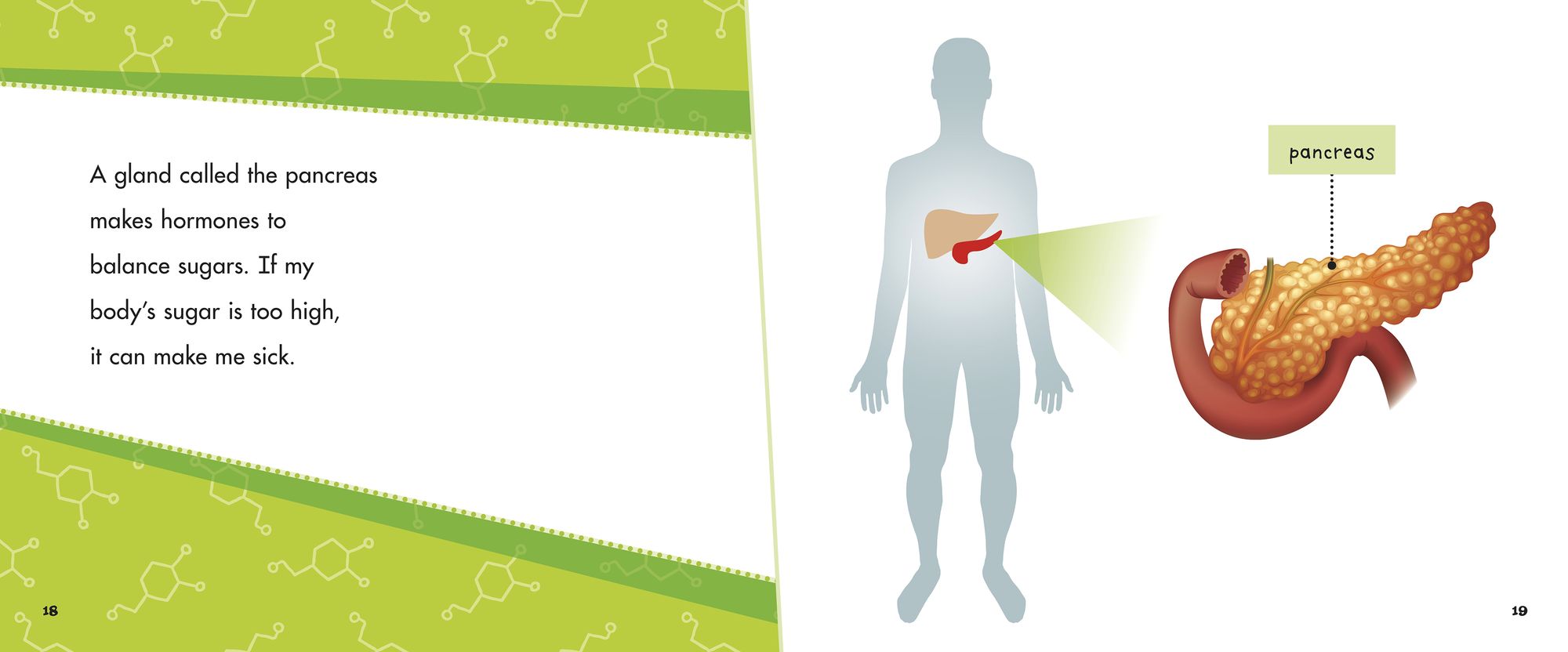 My Endocrine System: A 4D Book