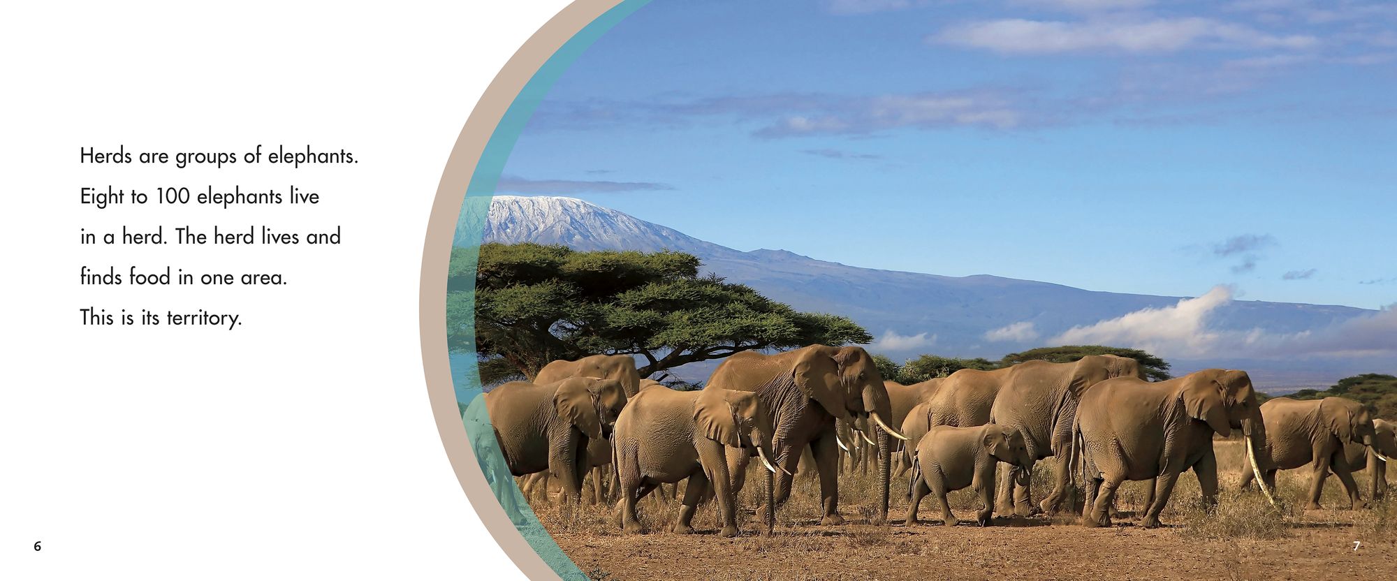 A Herd of Elephants
