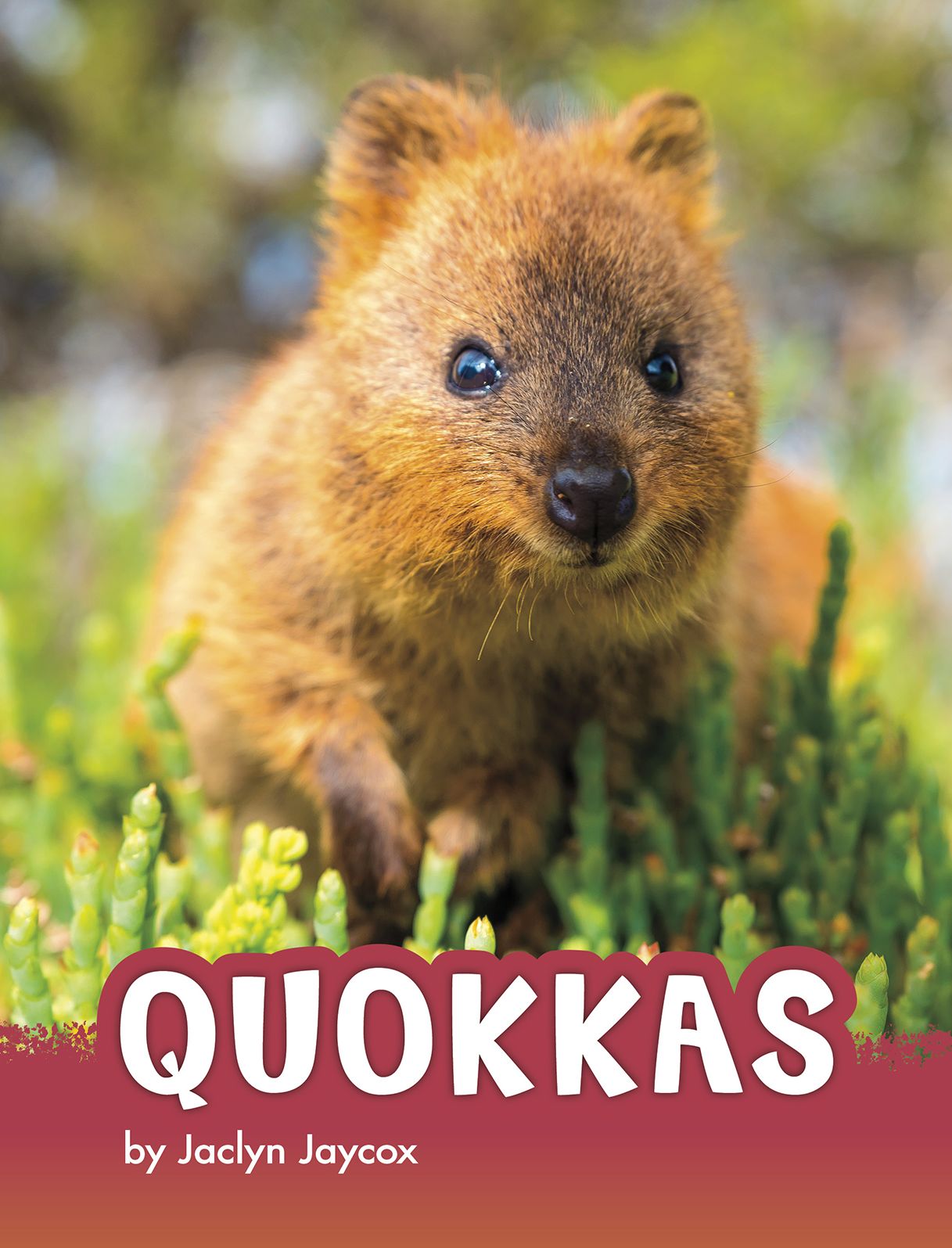 Quokkas