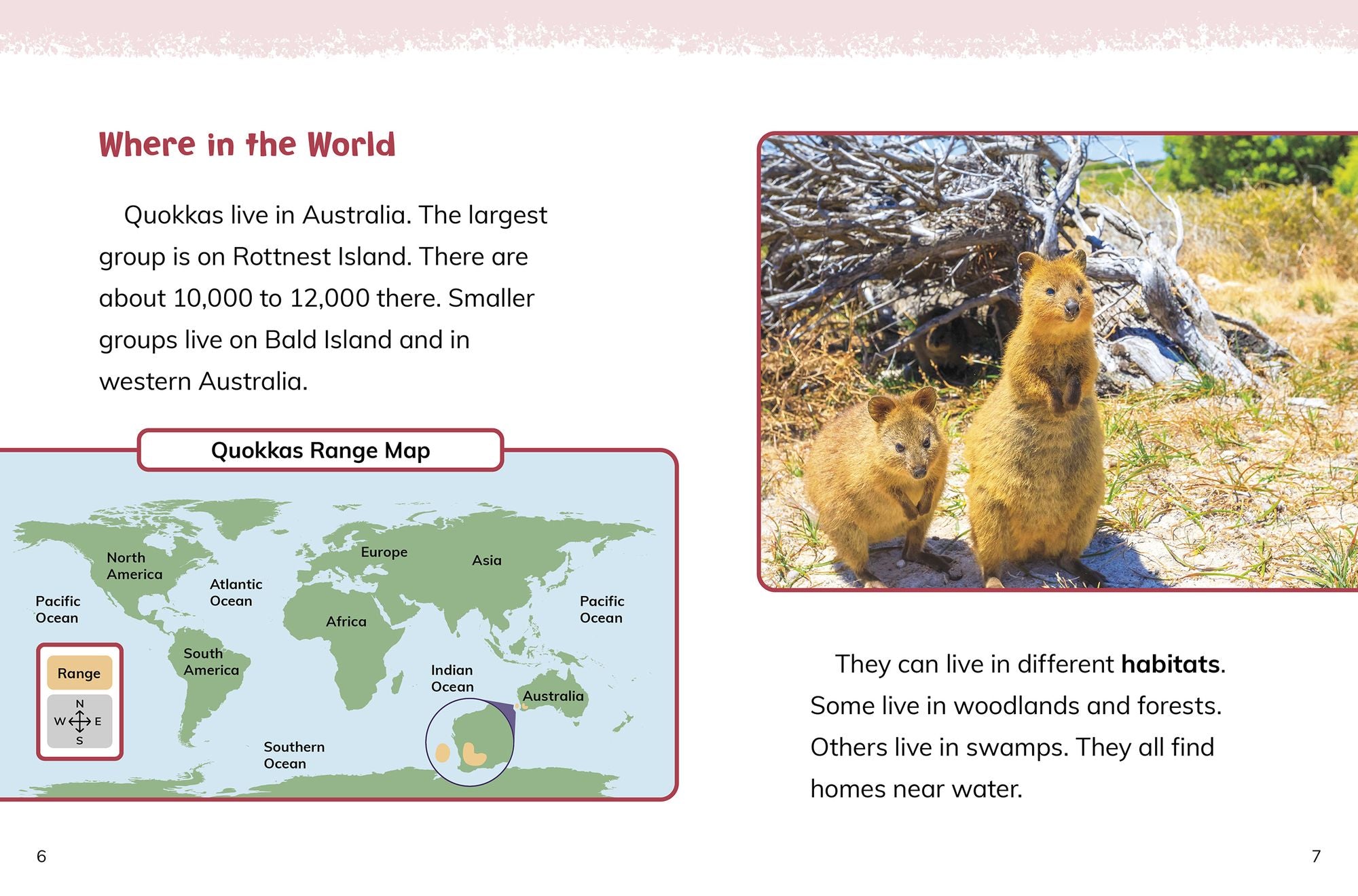 Quokkas