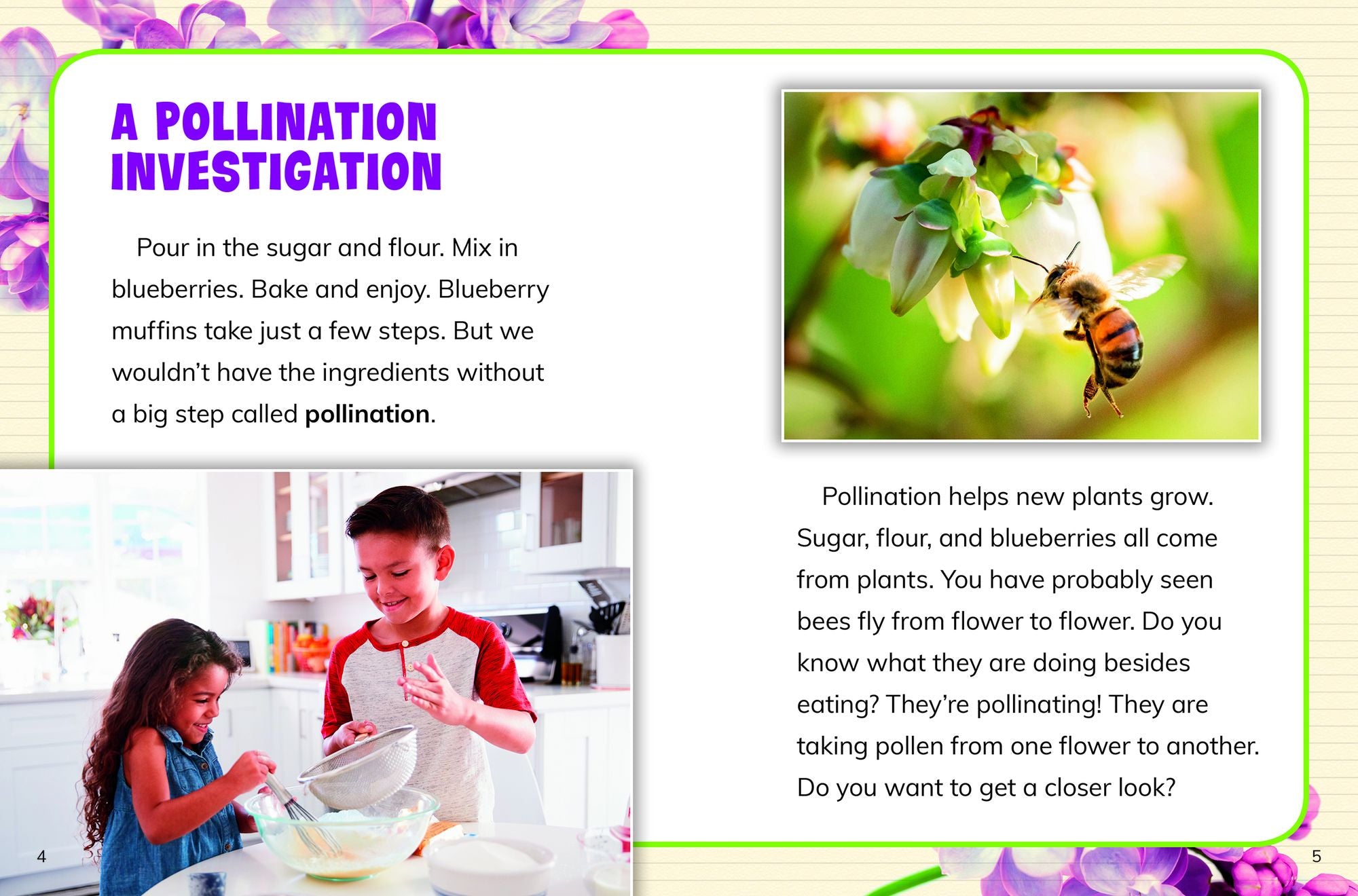 How Are Plants Pollinated?
