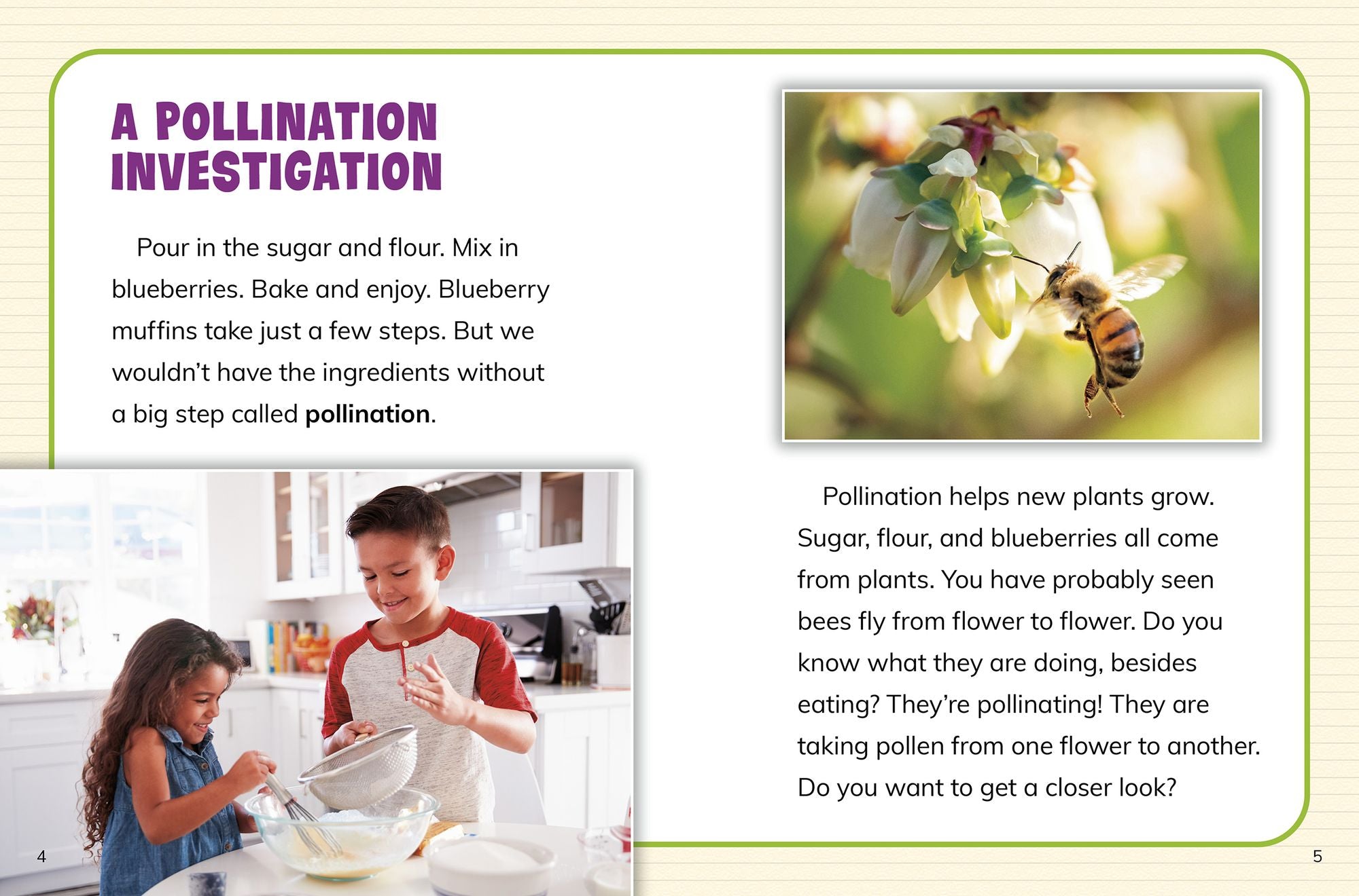 How Are Plants Pollinated?