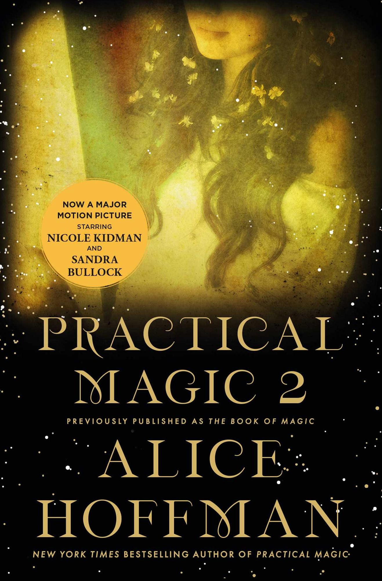 The Book of Magic (Practical Magic 2): A Novel