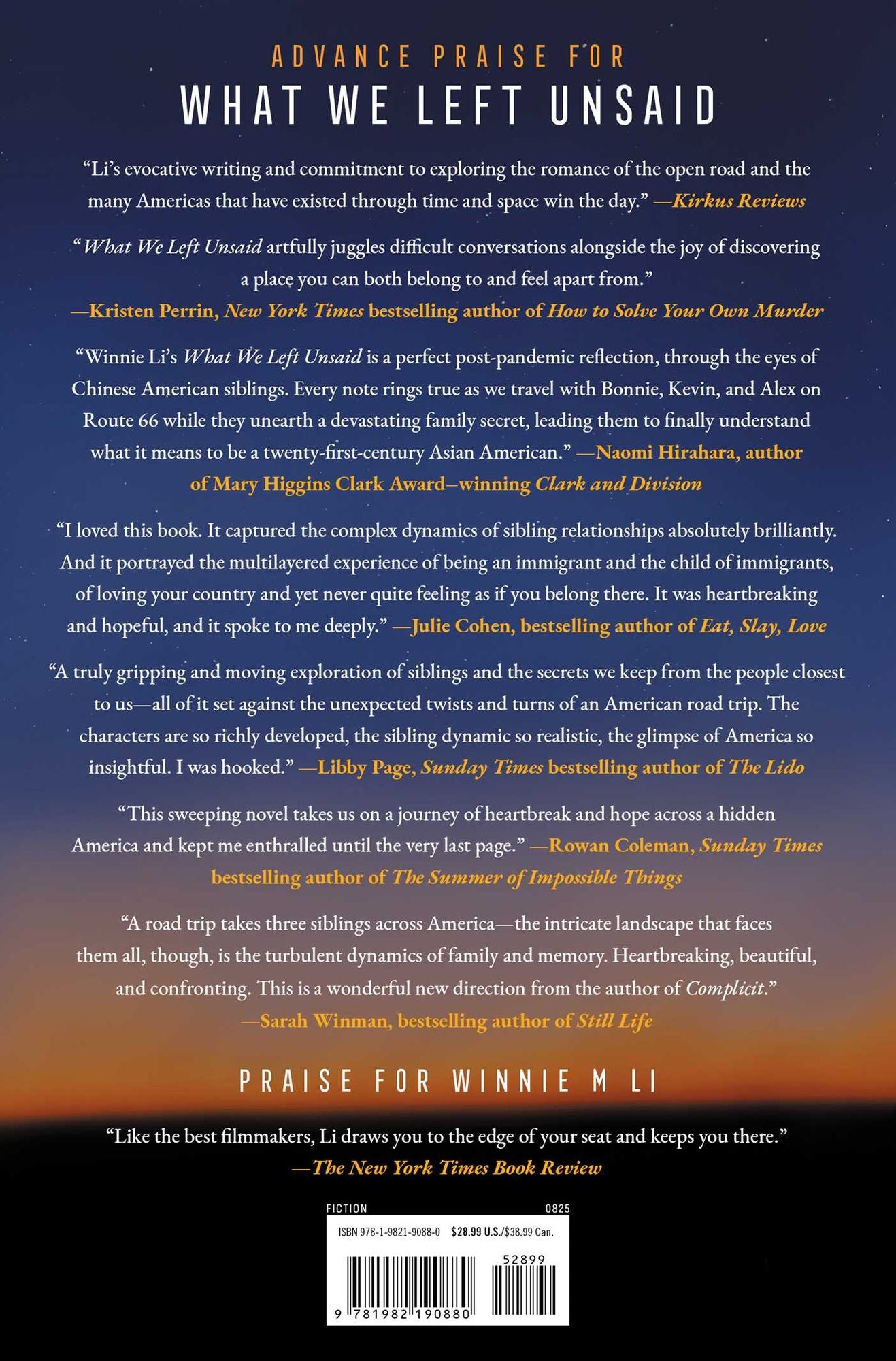 What We Left Unsaid: A Novel