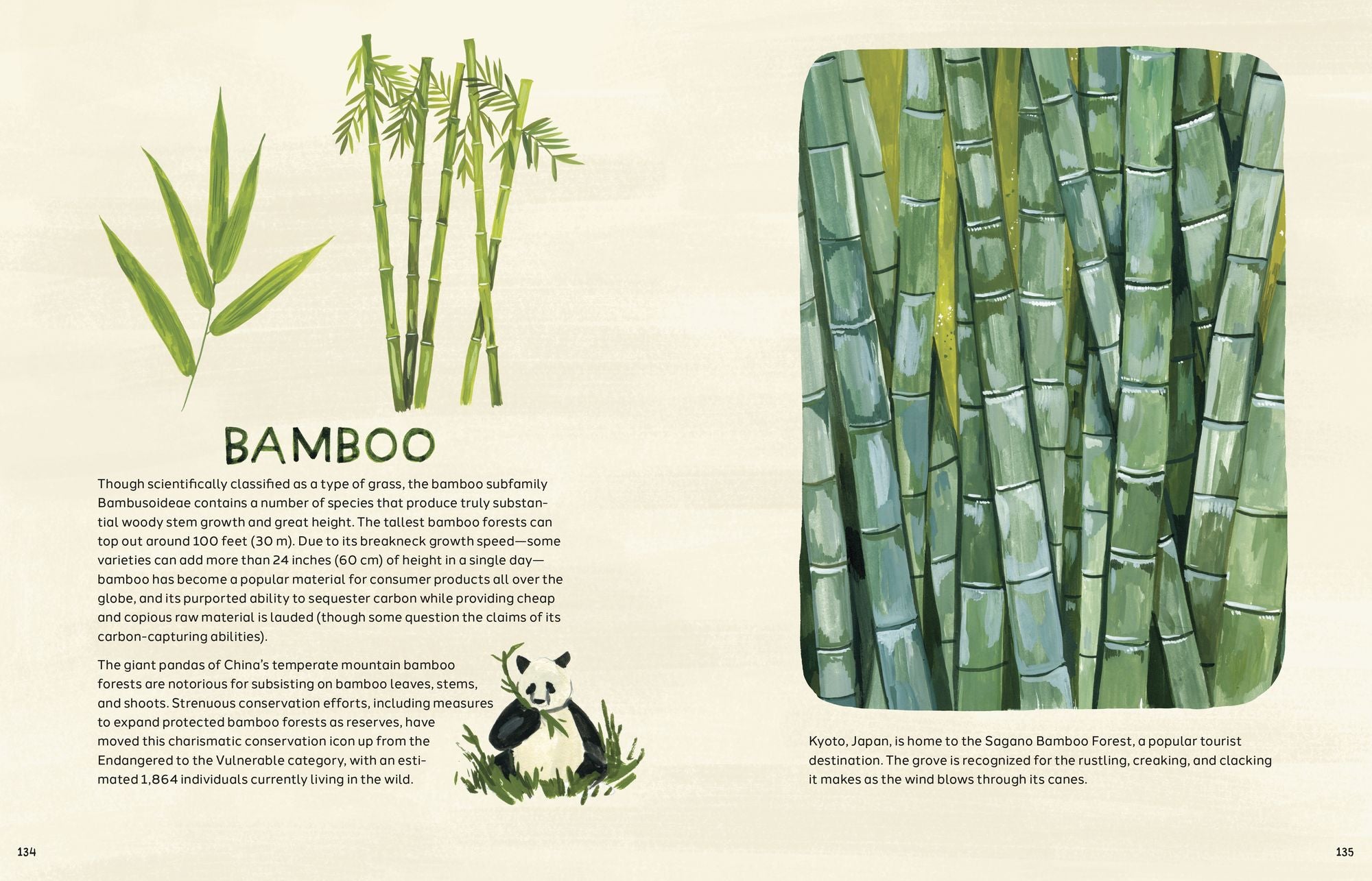 Trees: An Illustrated Celebration