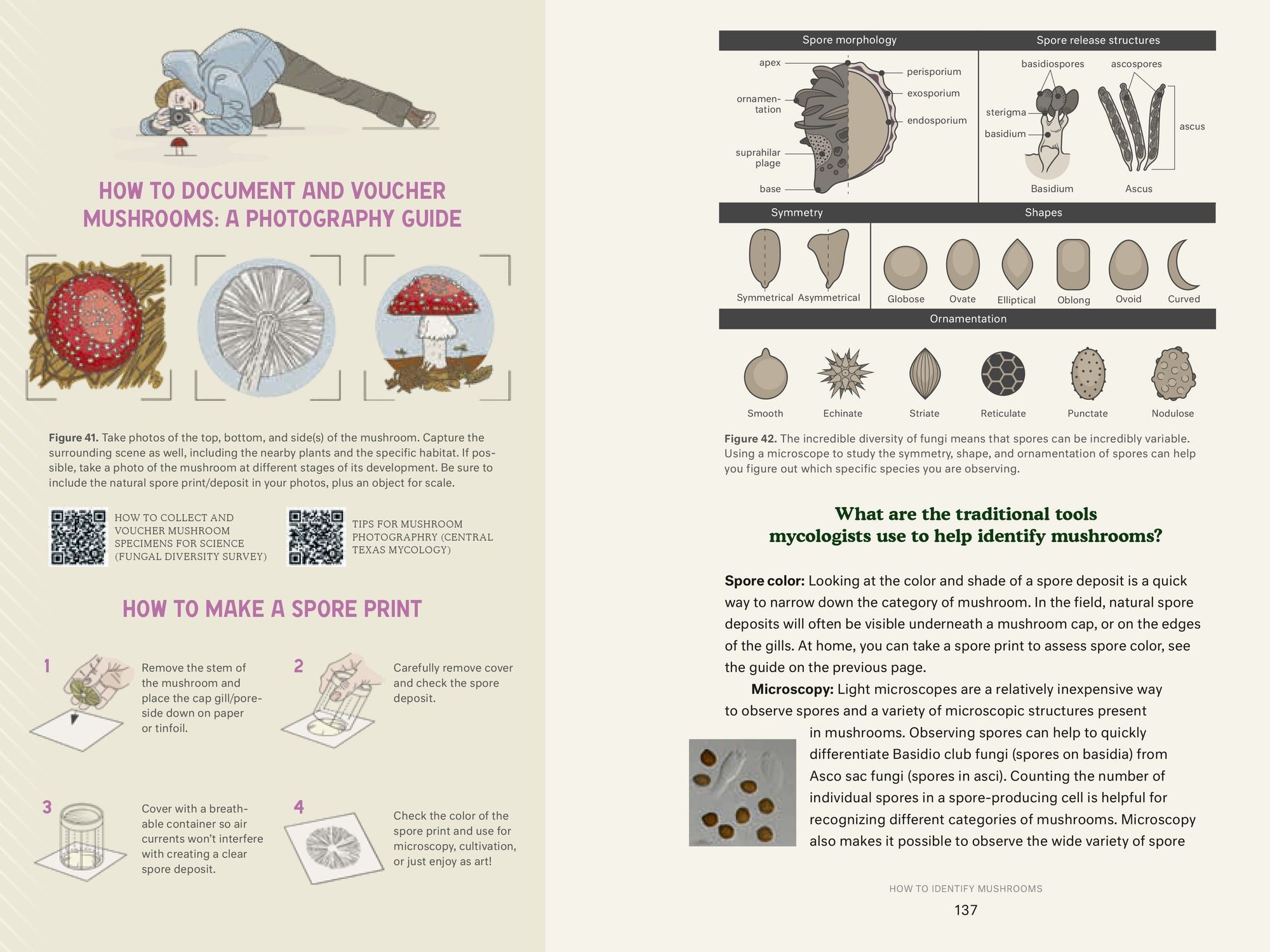 Dr. Fun Guy's Passport to Kingdom Fungi: A Scientist's Guide to the Wild and Wonderful World of Mushrooms, Molds, and More