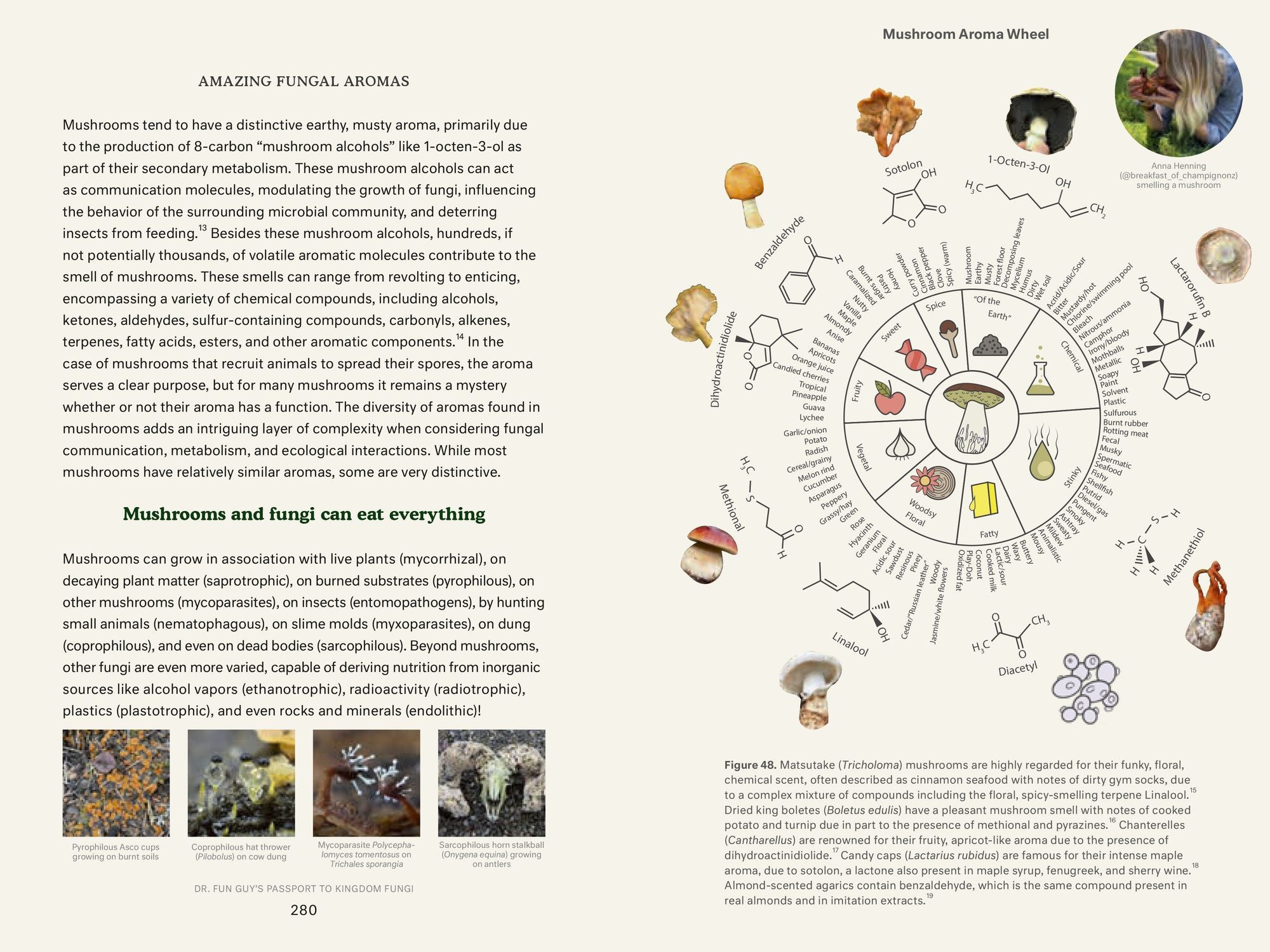 Dr. Fun Guy's Passport to Kingdom Fungi: A Scientist's Guide to the Wild and Wonderful World of Mushrooms, Molds, and More