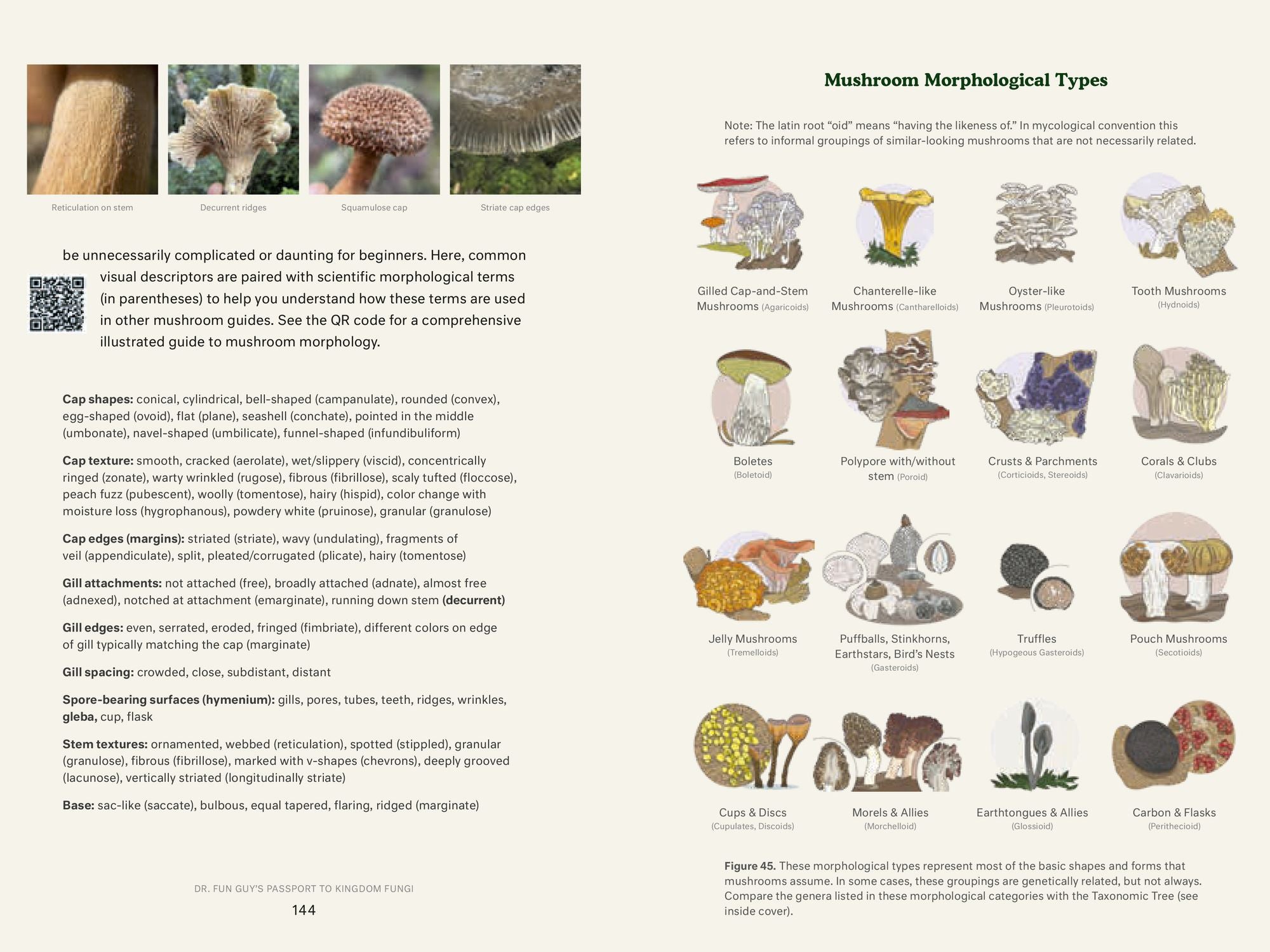 Dr. Fun Guy's Passport to Kingdom Fungi: A Scientist's Guide to the Wild and Wonderful World of Mushrooms, Molds, and More
