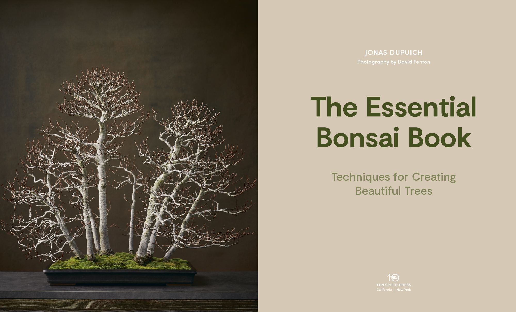 The Essential Bonsai Book: Techniques for Creating Beautiful Trees