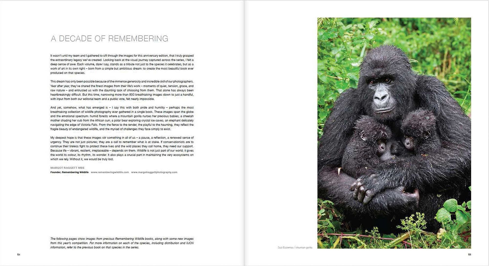10 Years of Remembering Wildlife