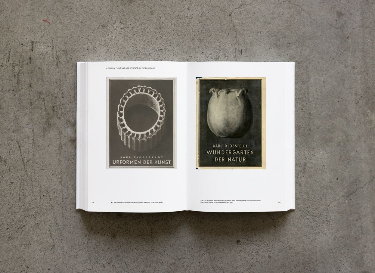 Karl Blossfeldt: Variations