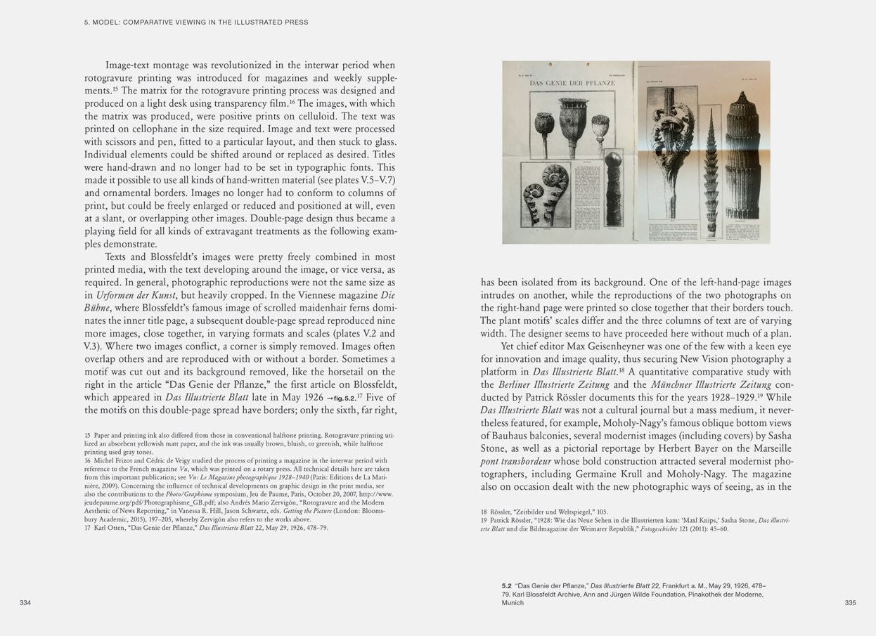 Karl Blossfeldt: Variations