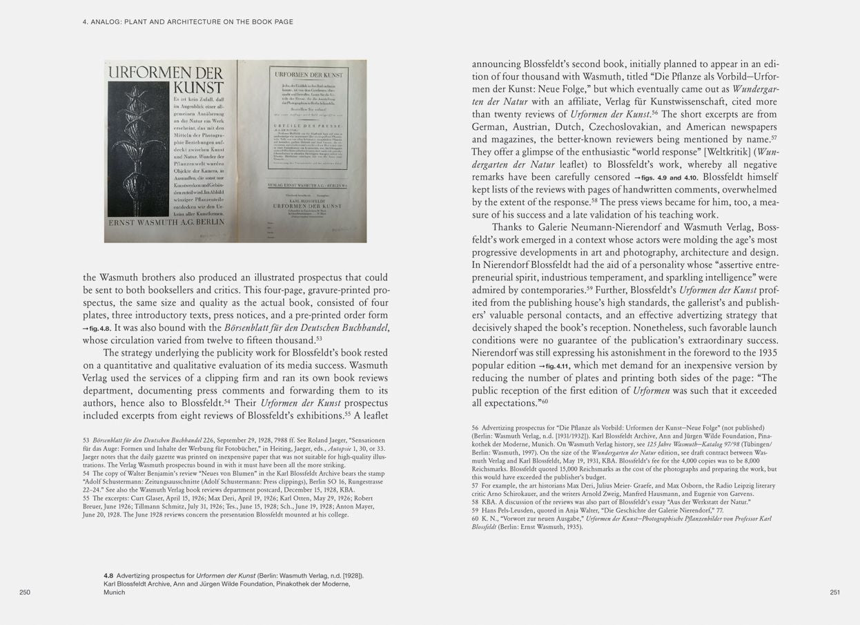 Karl Blossfeldt: Variations