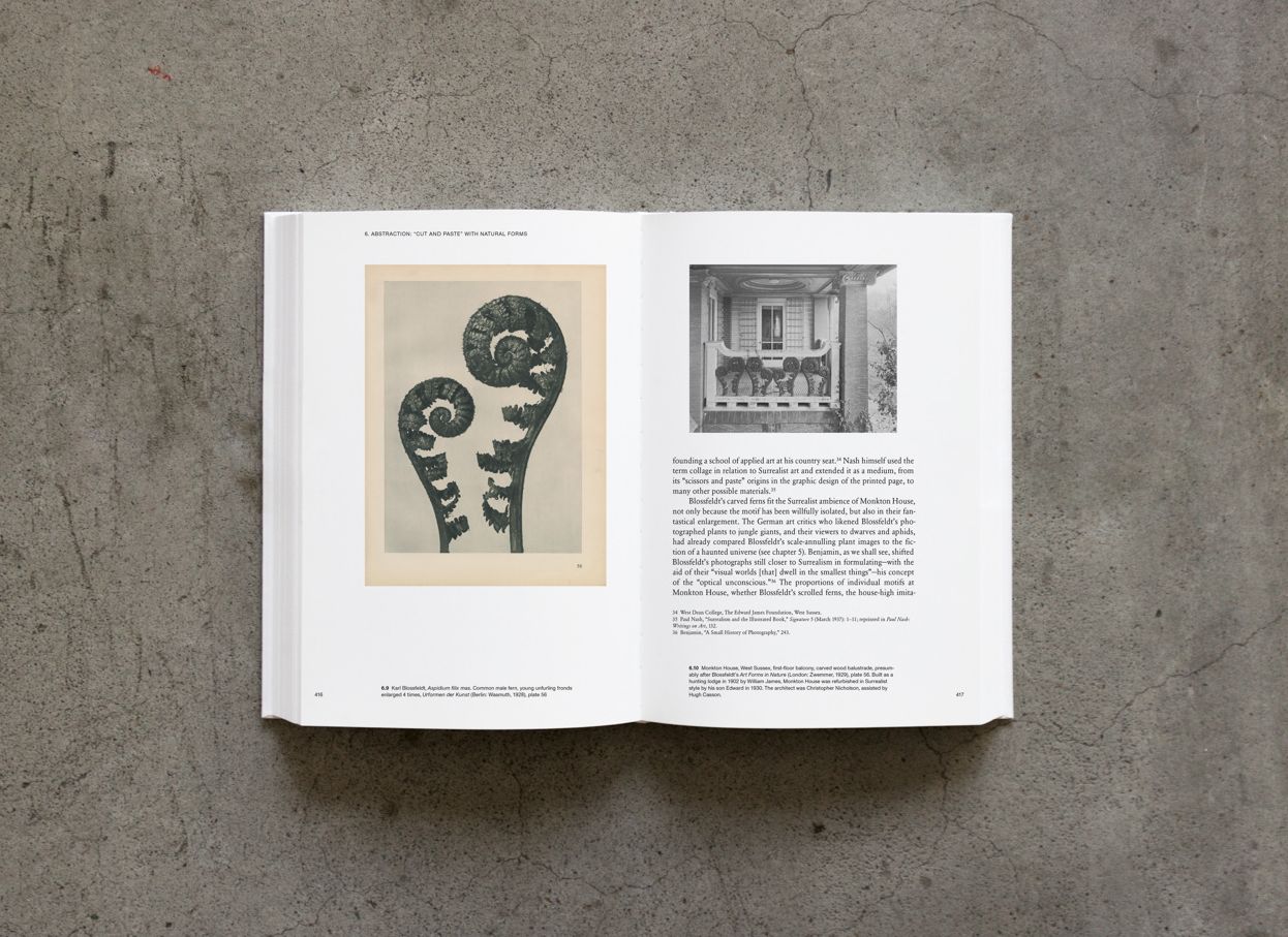 Karl Blossfeldt: Variations