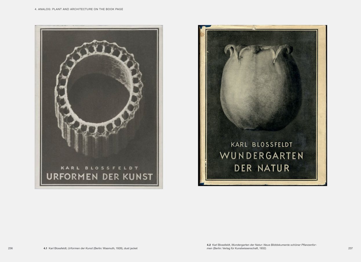 Karl Blossfeldt: Variations