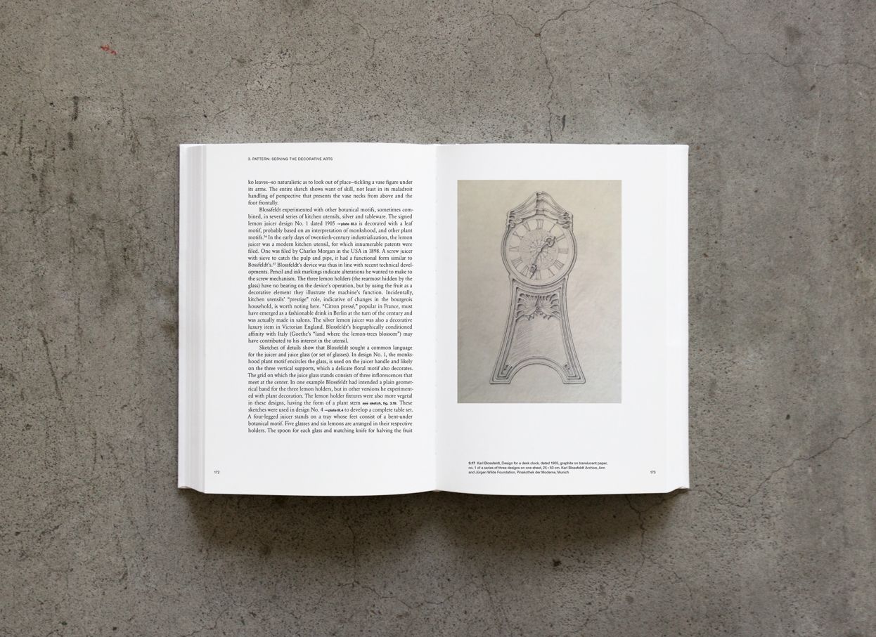 Karl Blossfeldt: Variations