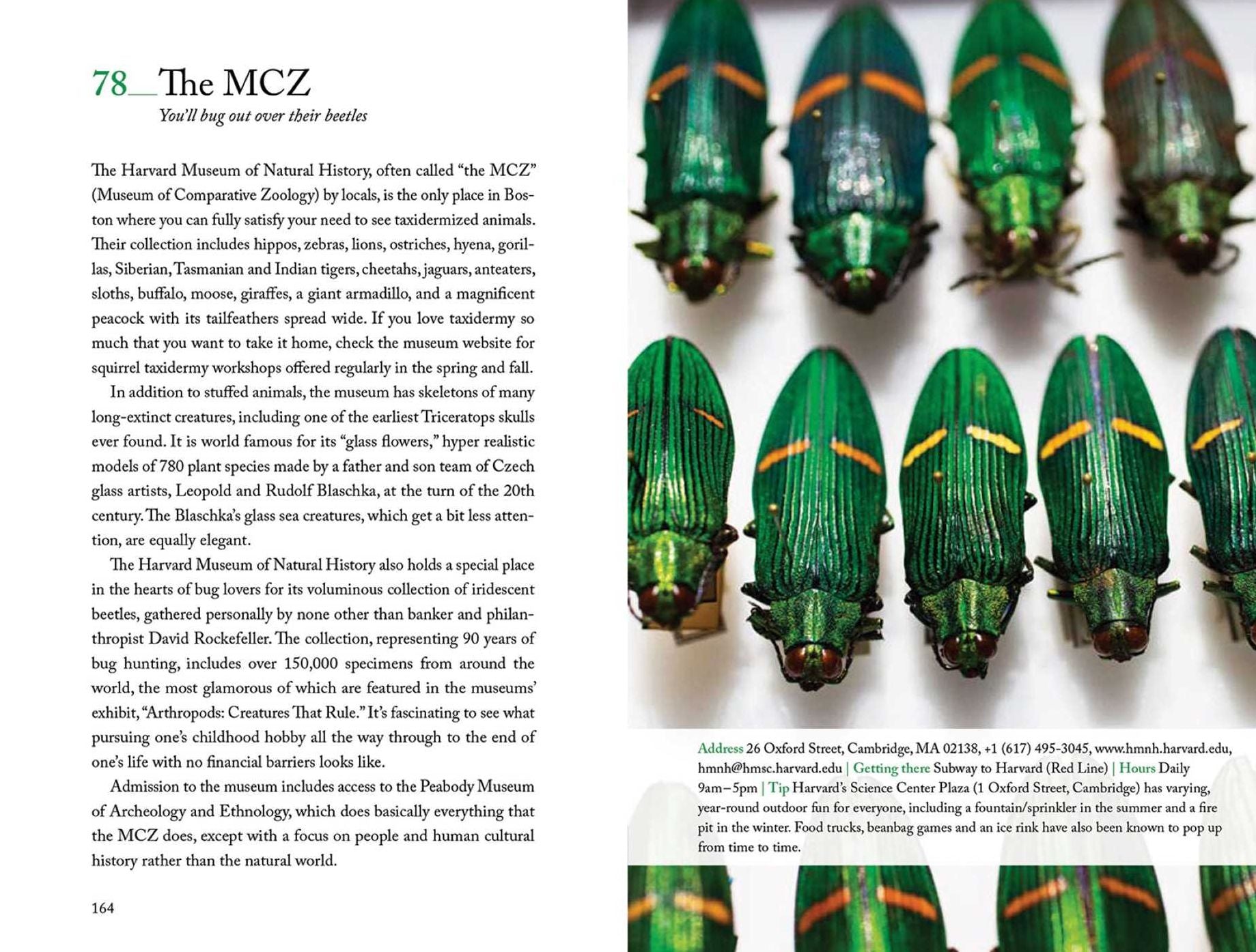 111 Places in Boston That You Must Not Miss