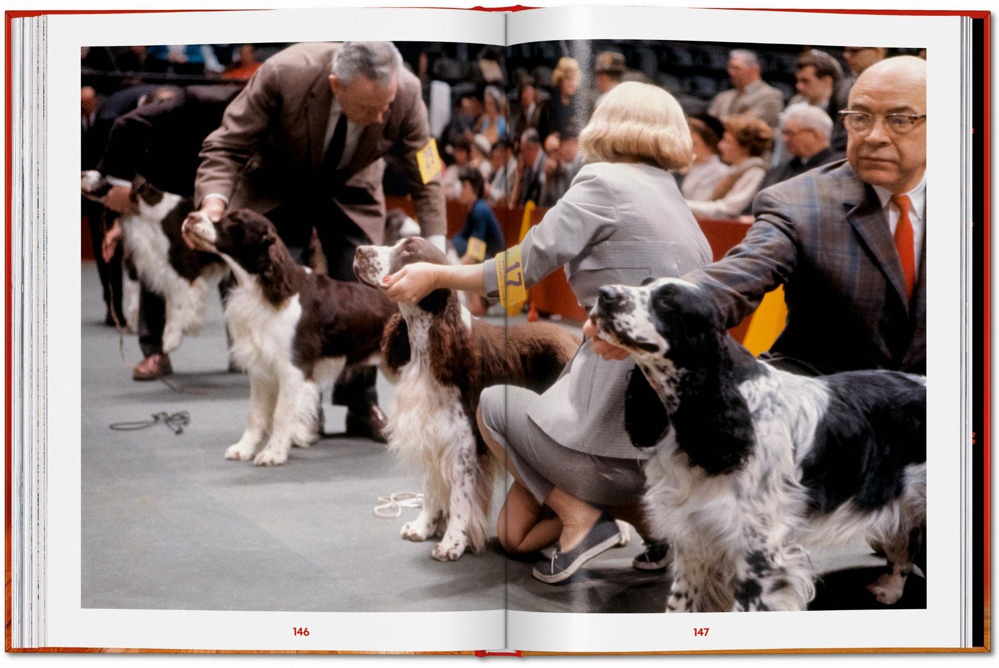 Walter Chandoha. Dogs. Photographs 1941-1991