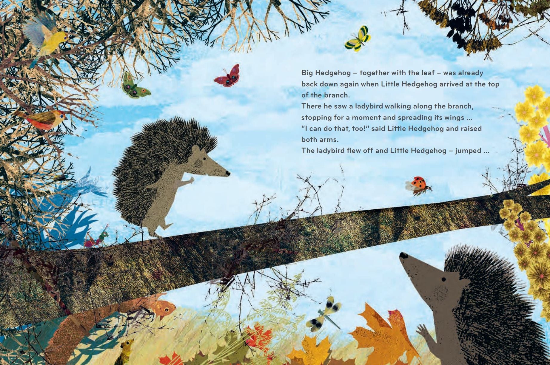 I Can Do That Too: A Big Hedgehog and Little Hedgehog Adventure