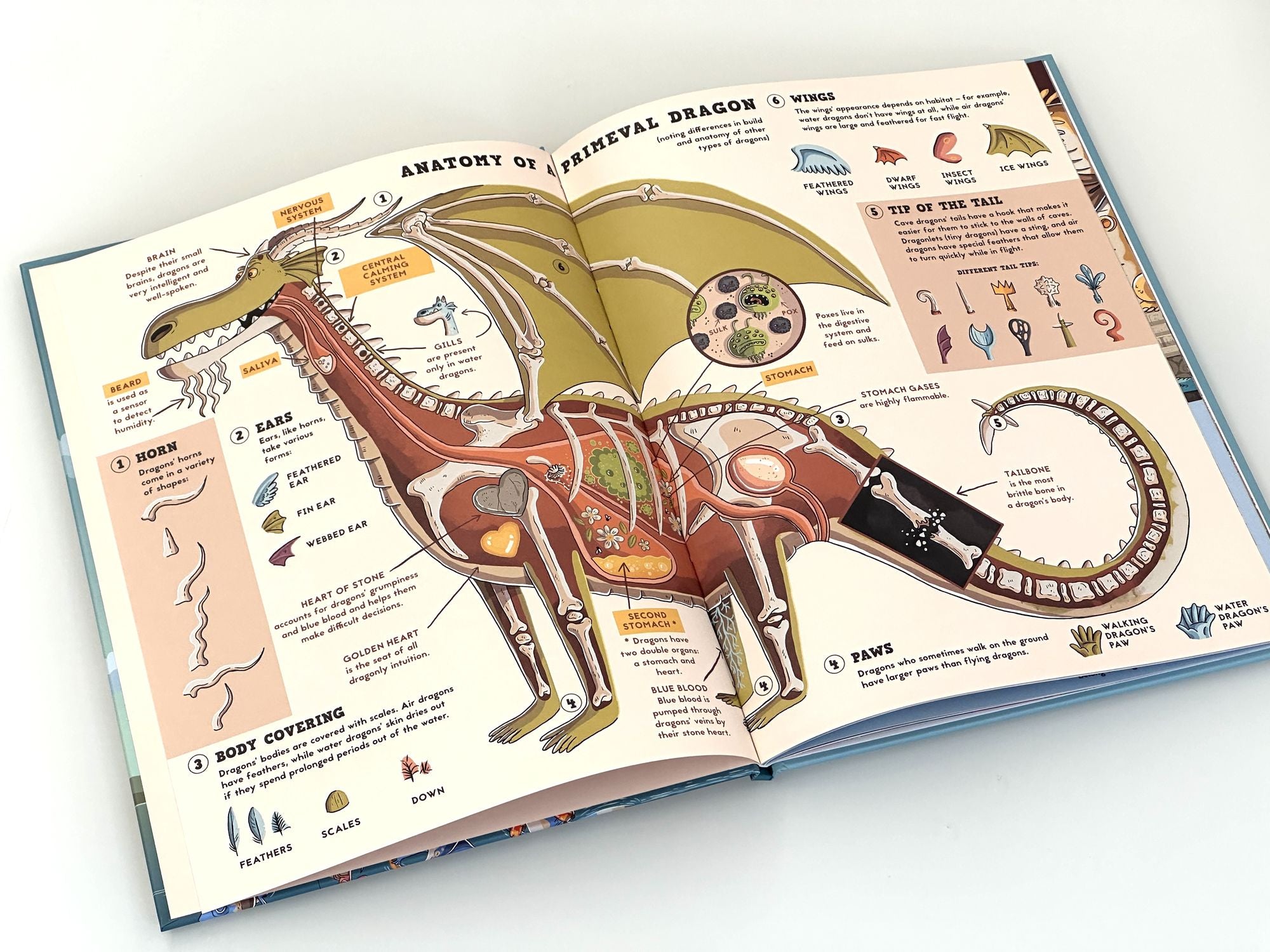 Facts and Rumors About Dragons