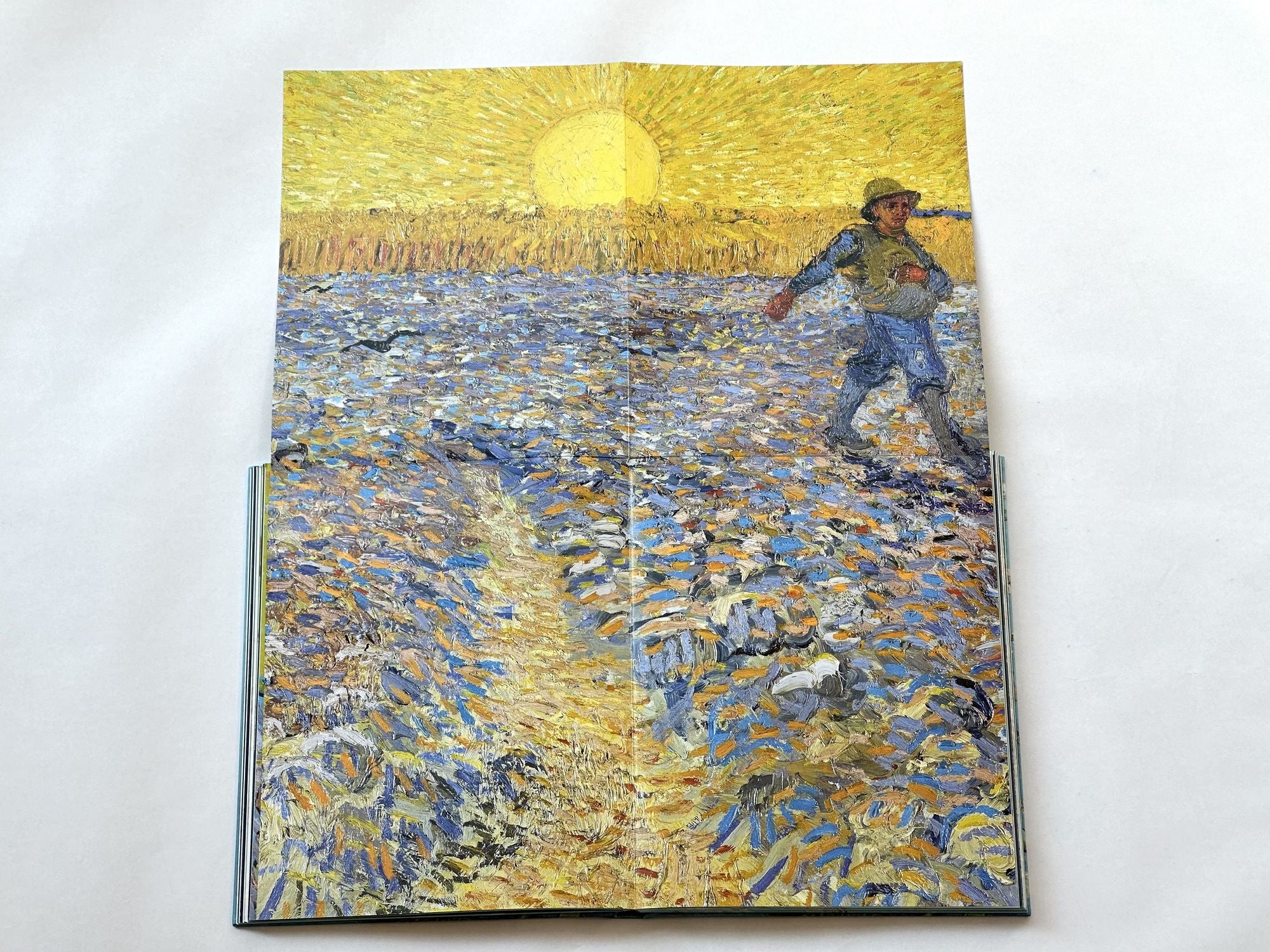 Van Gogh: The Bigger Picture