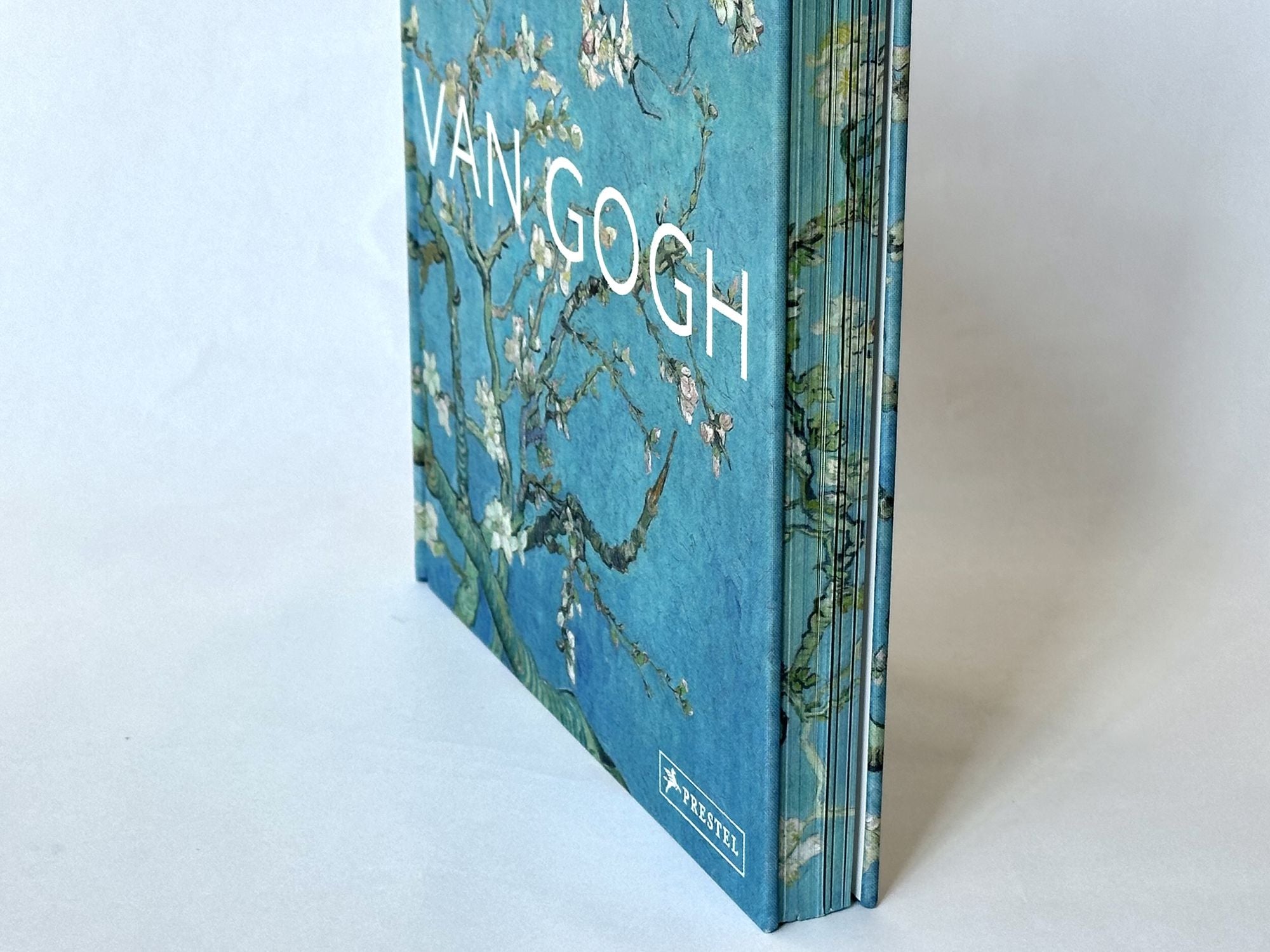 Van Gogh: The Bigger Picture