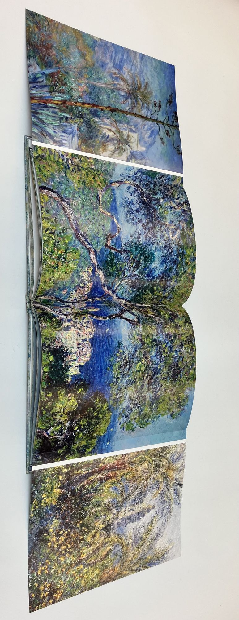 Monet: The Bigger Picture