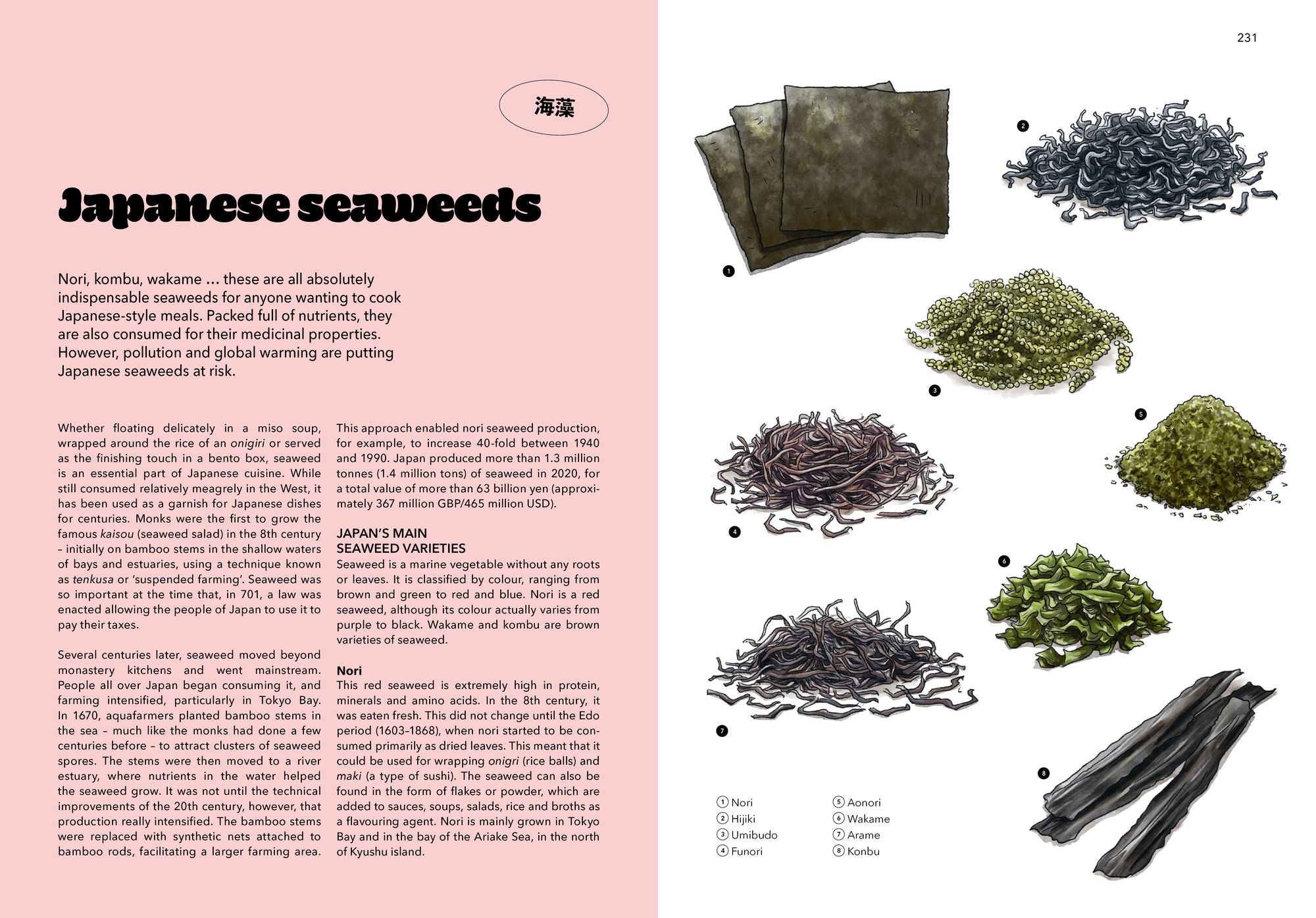 Japan: A Culinary Travel Diary