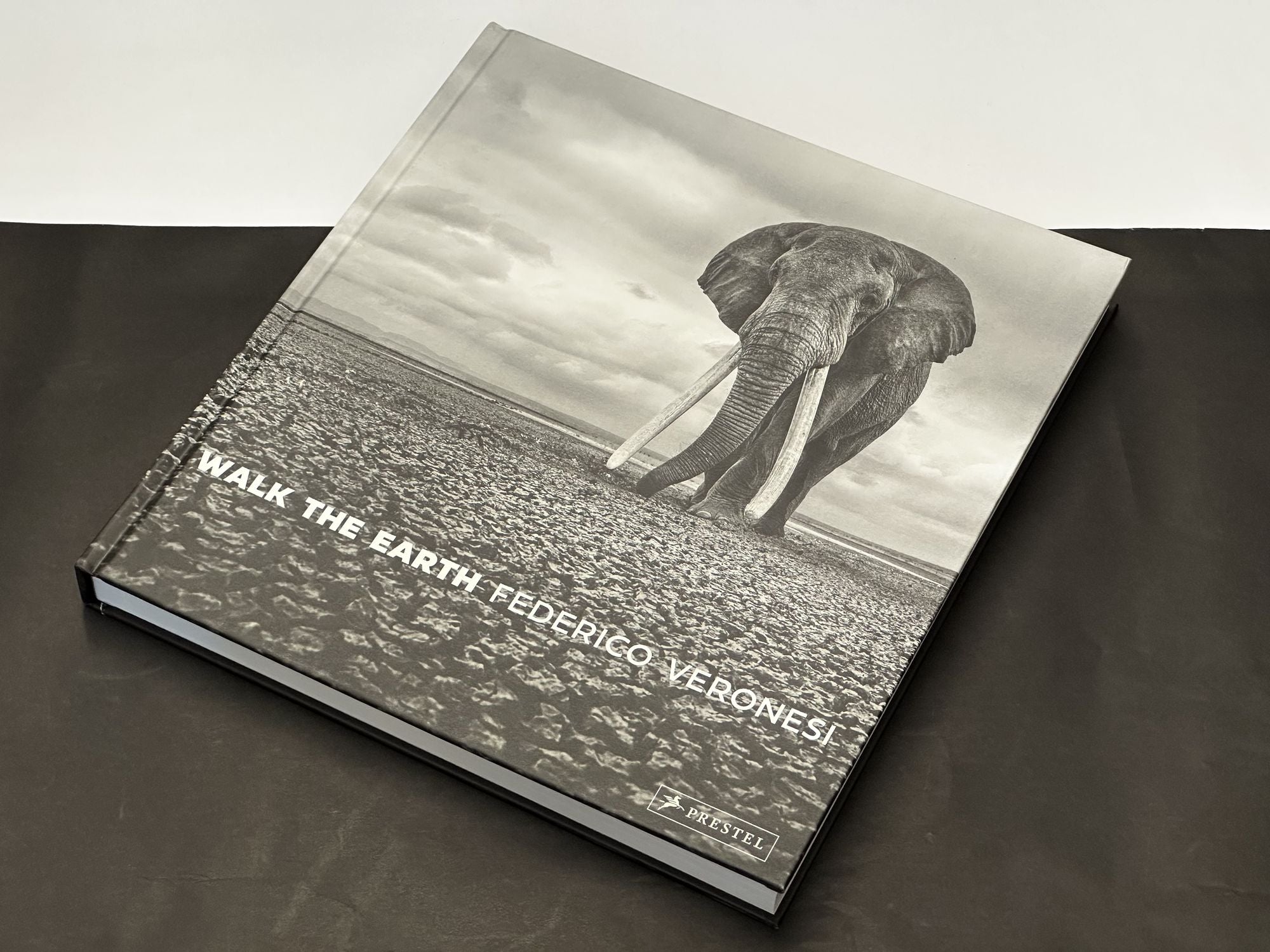 Walk the Earth: Photographs of Africa's Last Great Elephants