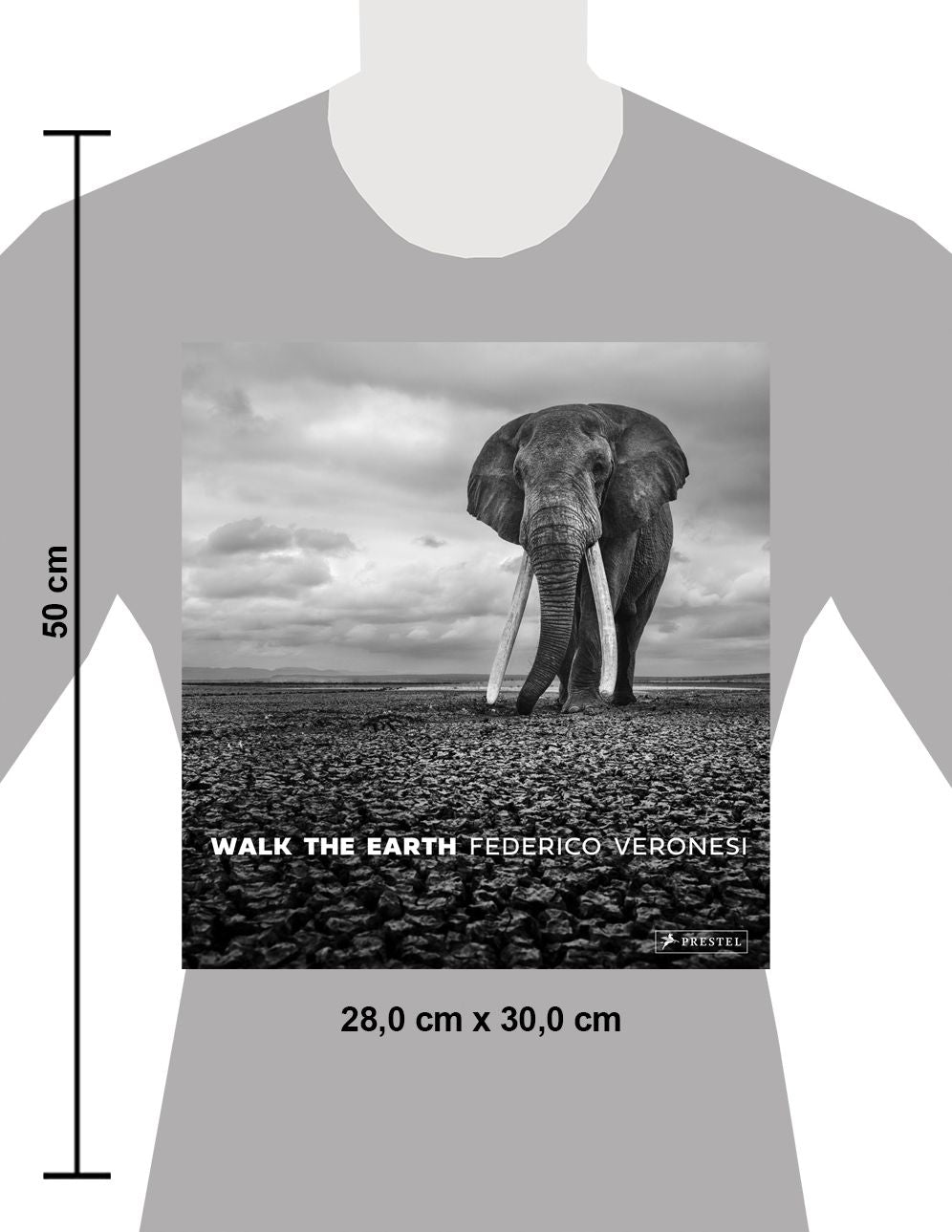 Walk the Earth: Photographs of Africa's Last Great Elephants