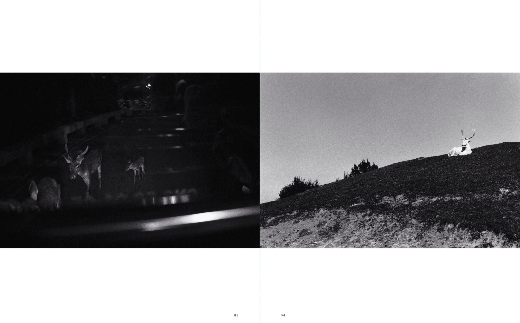 Sakiko Nomura: Tender Is the Night
