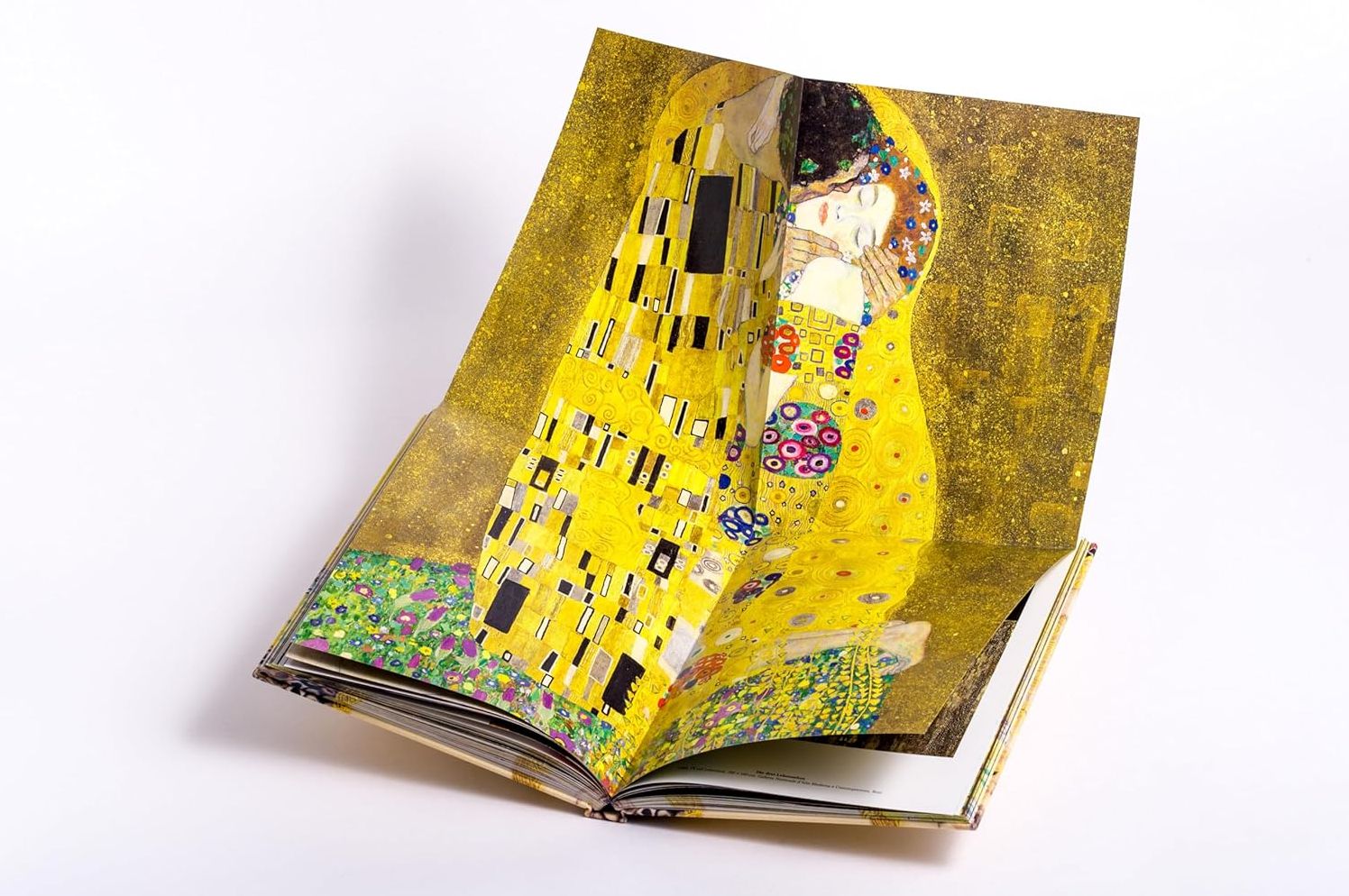 Klimt: The Bigger Picture