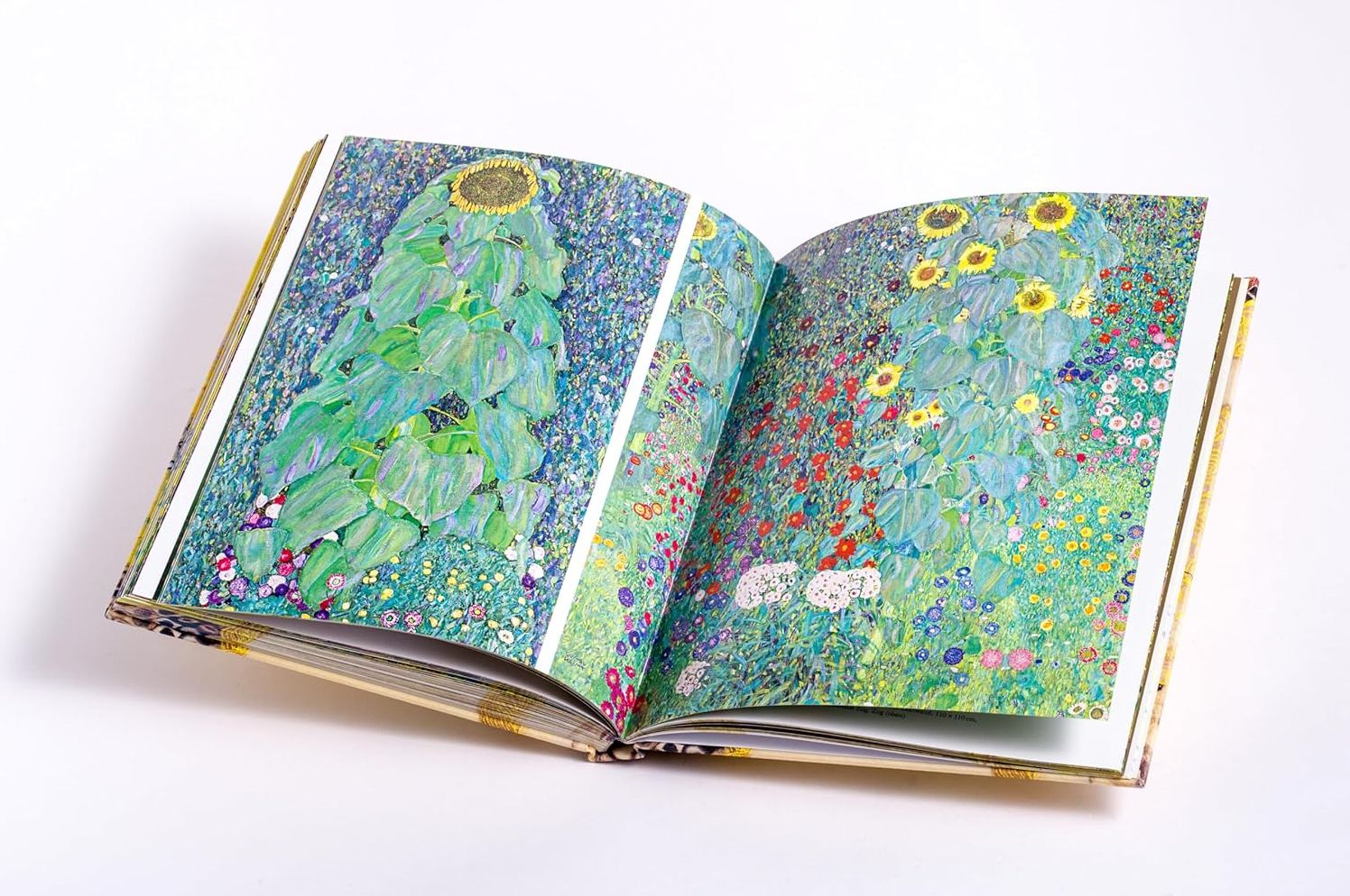 Klimt: The Bigger Picture