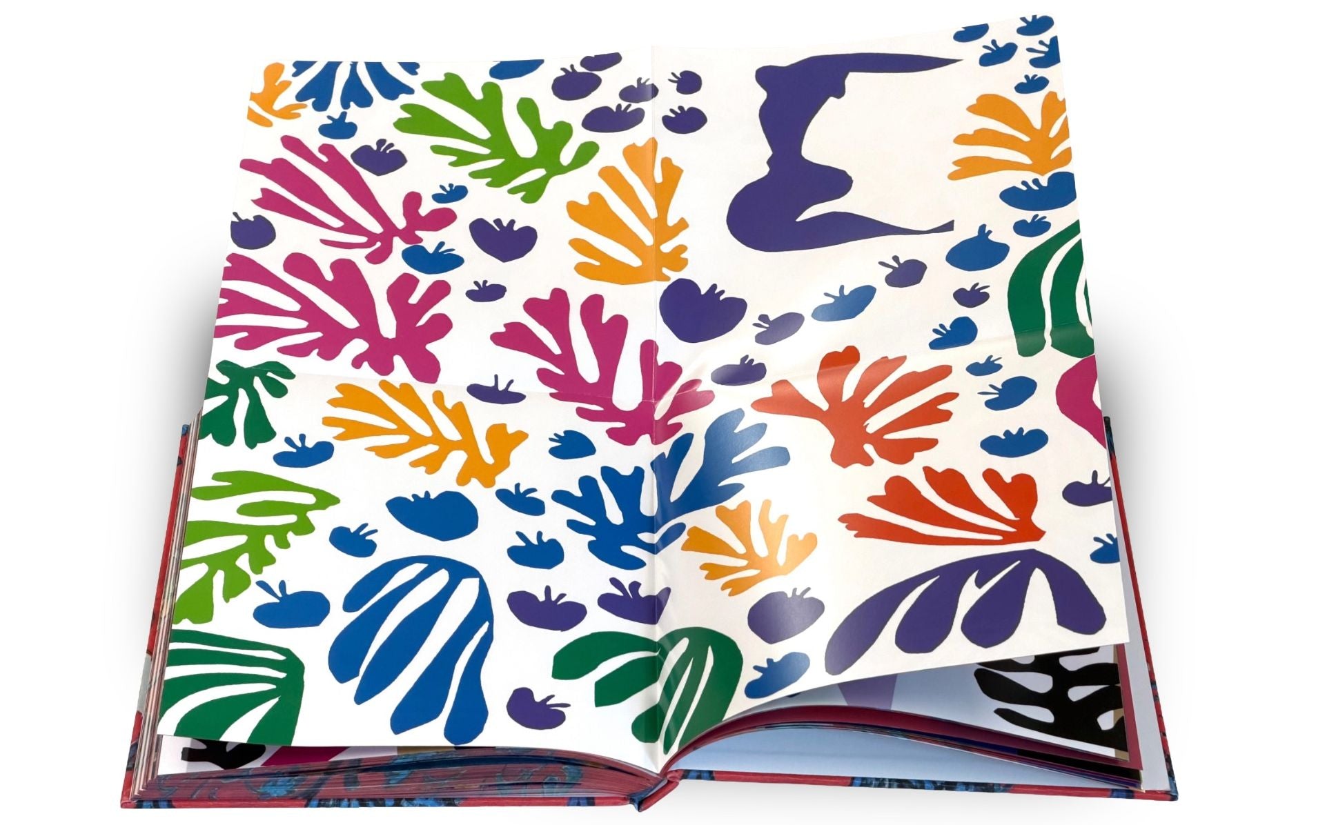 Matisse: The Bigger Picture