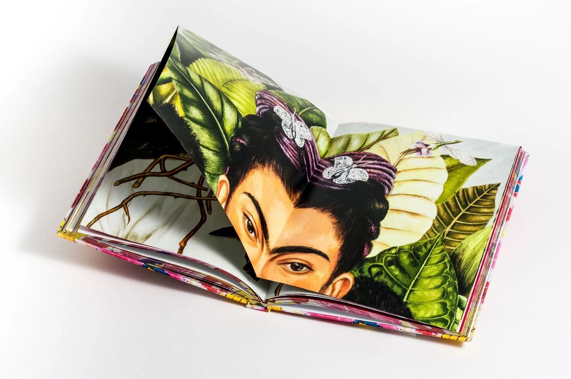 Kahlo: The Bigger Picture
