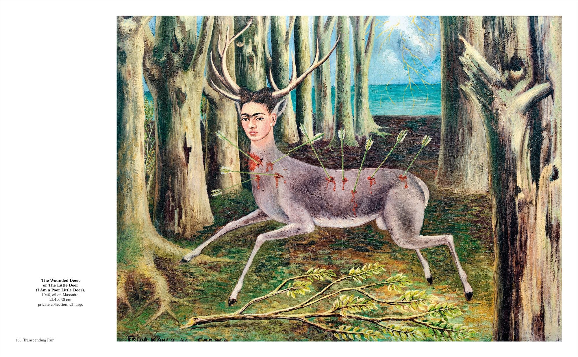 Kahlo: The Bigger Picture