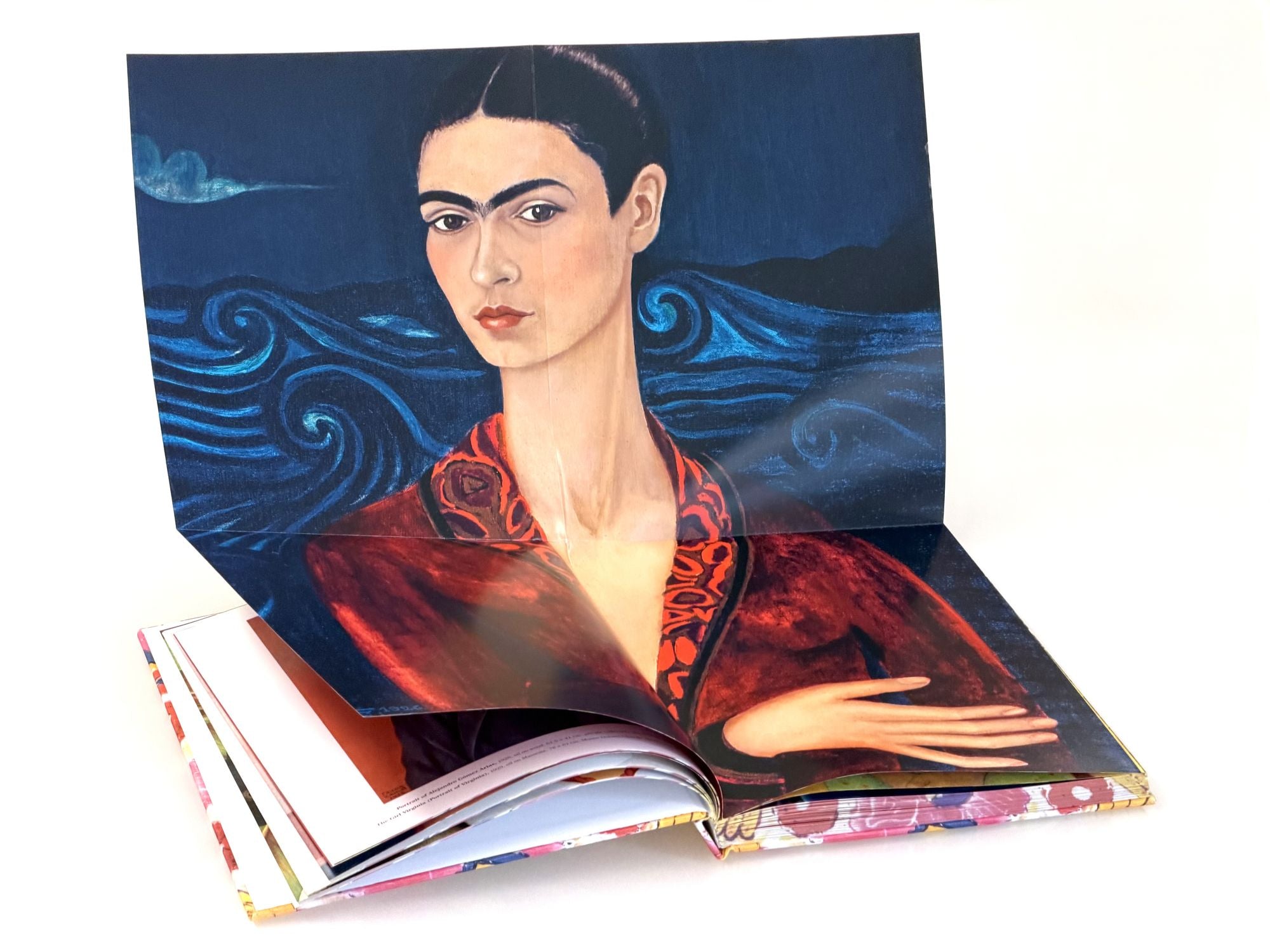 Kahlo: The Bigger Picture