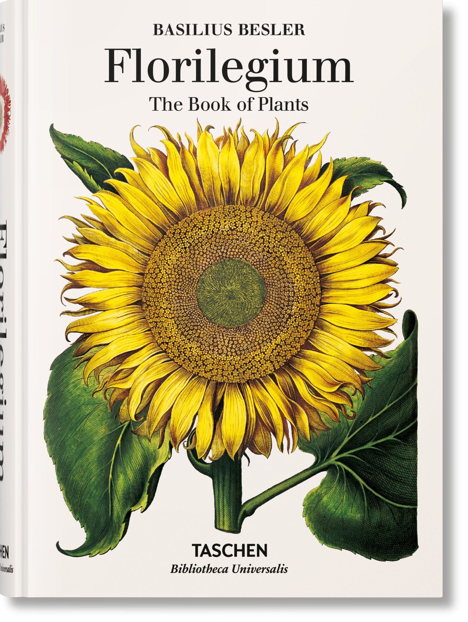 Basilius Besler. Florilegium. The Book of Plants