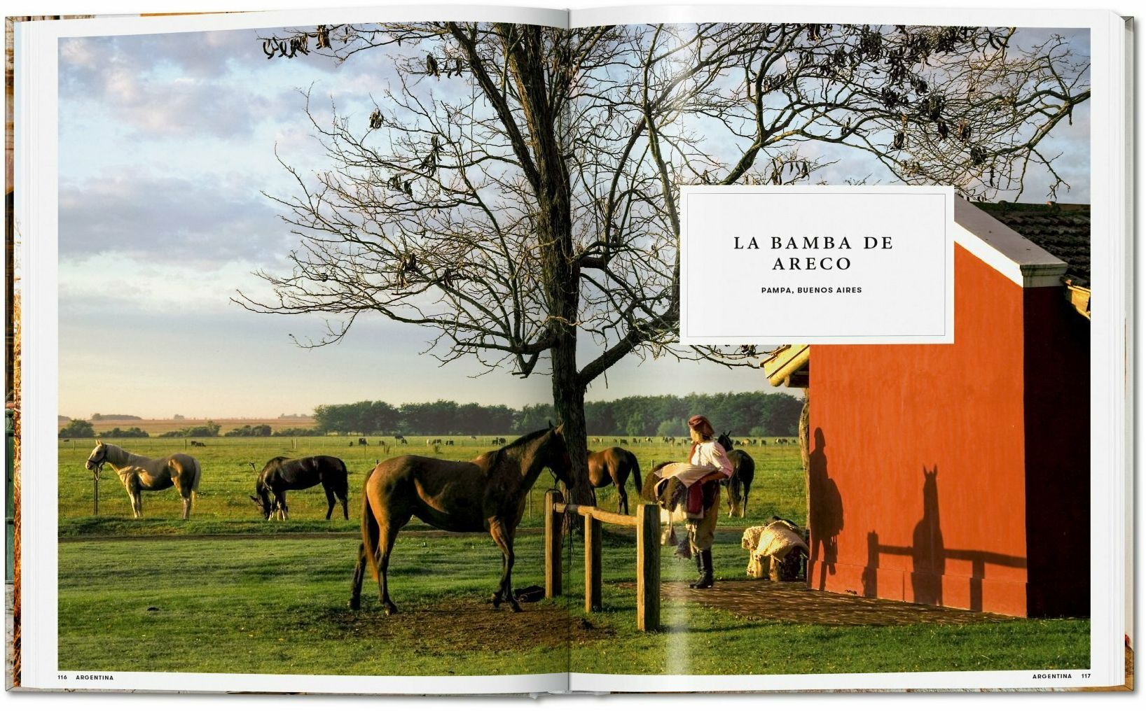 Great Escapes Latin America. The Hotel Book