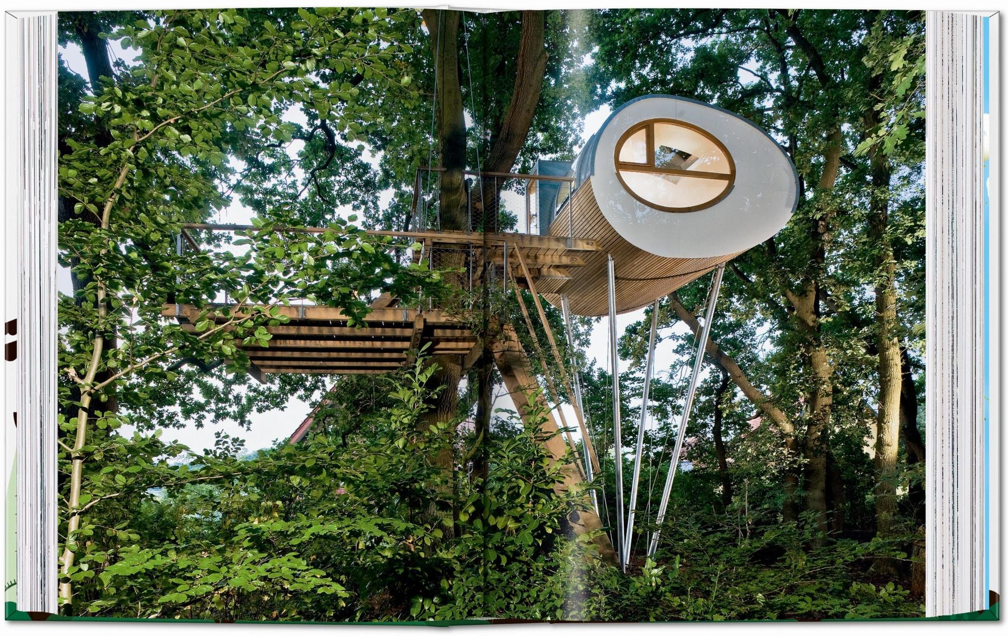 Tree Houses. 45th Ed.
