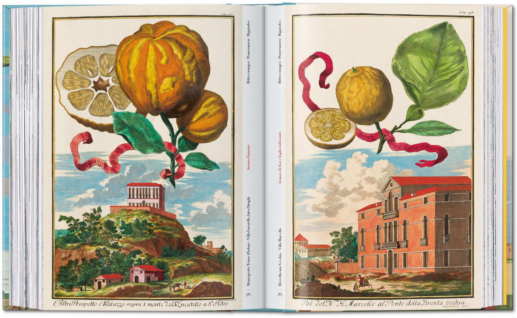 J. C. Volkamer. The Book of Citrus Fruits. 45th Ed.