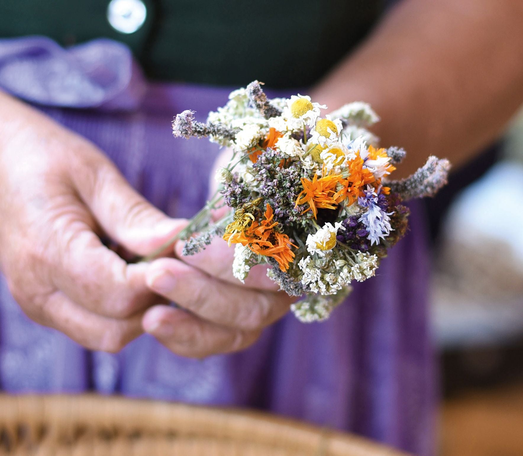 Wild Flowers