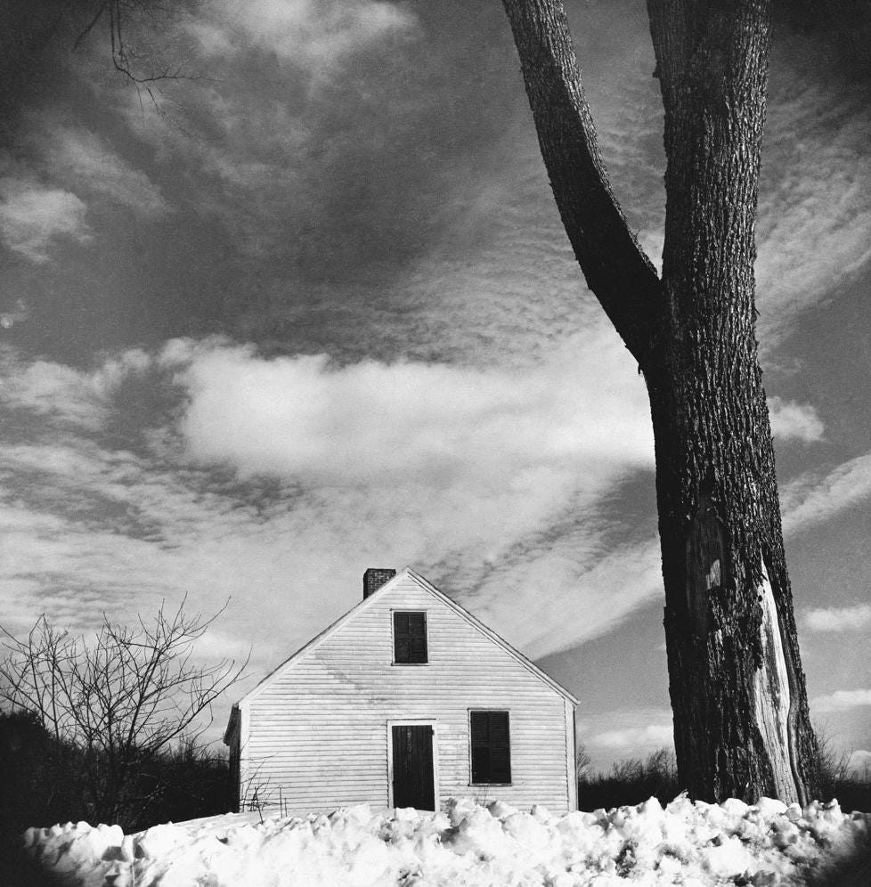 Gordon Parks: Herklas Brown and Maine, 1944