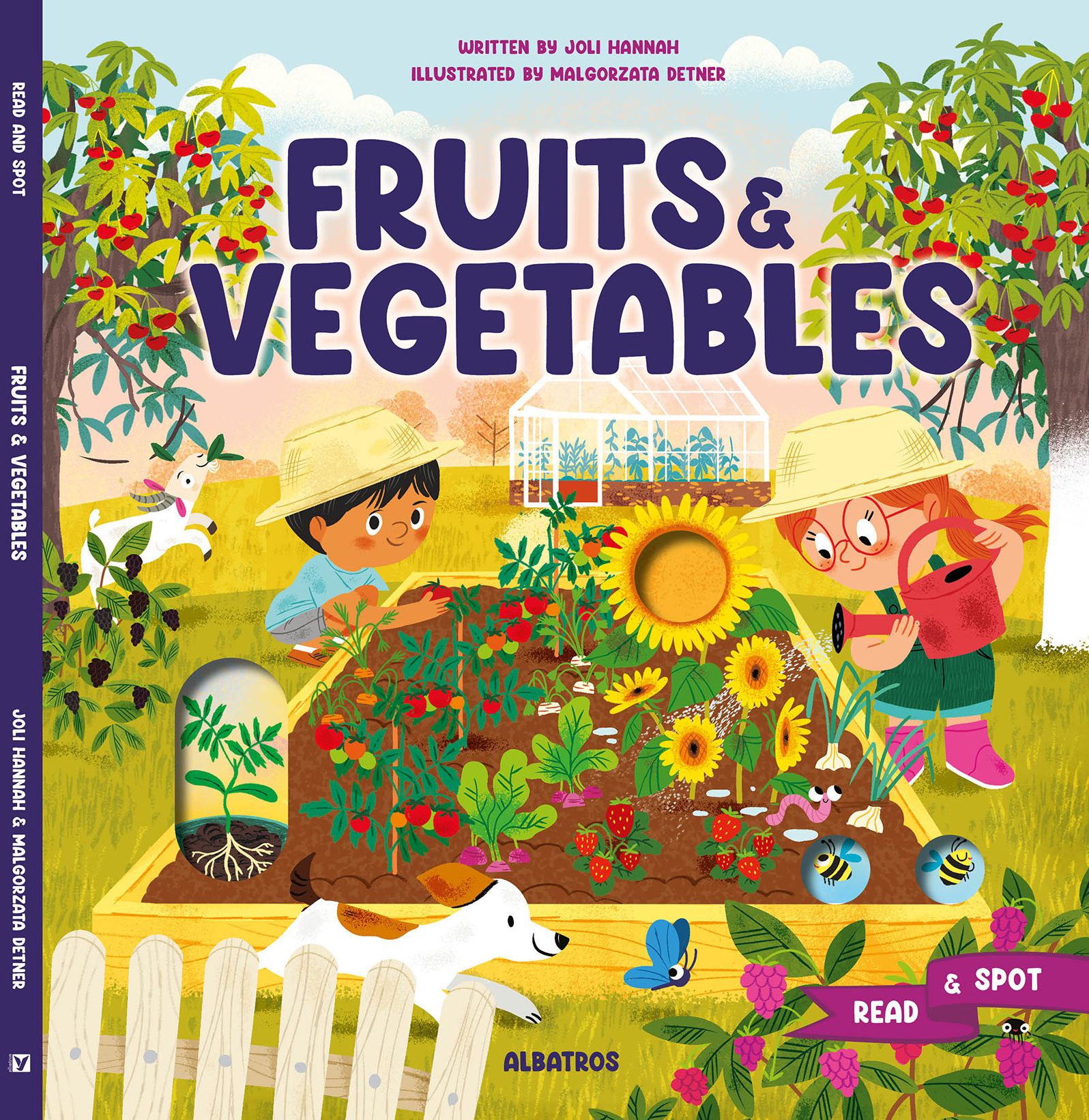 Fruits and Vegetables