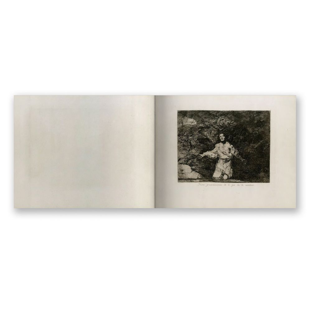 Goya: The Disasters of War