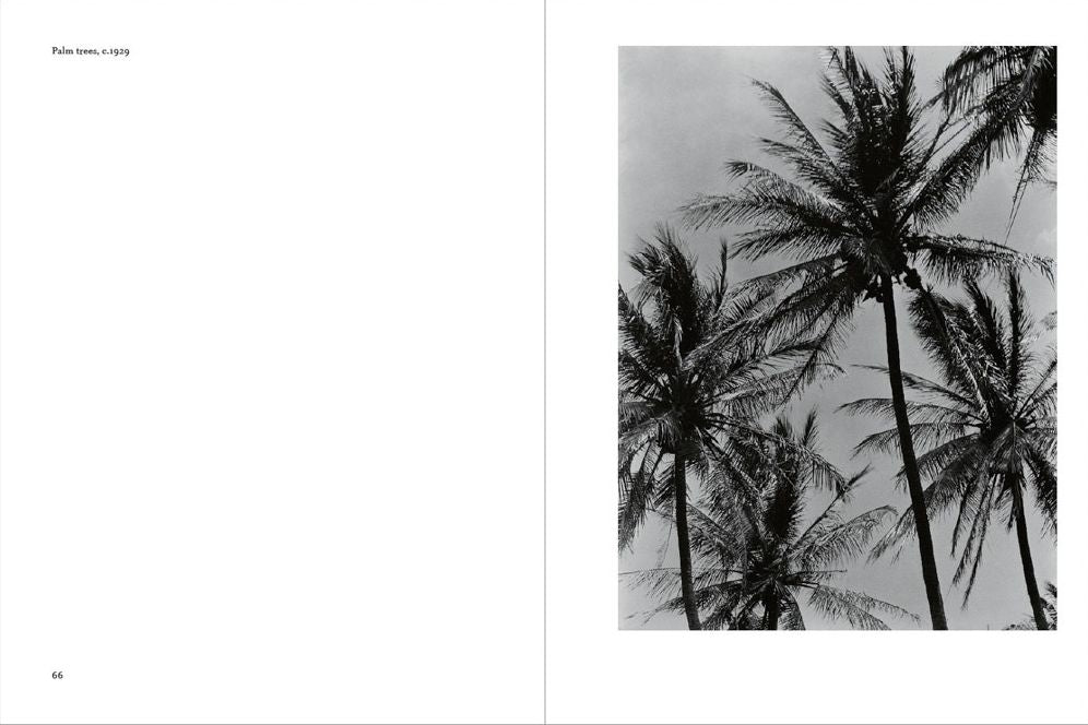Tina Modotti: La Fábrica Essentials
